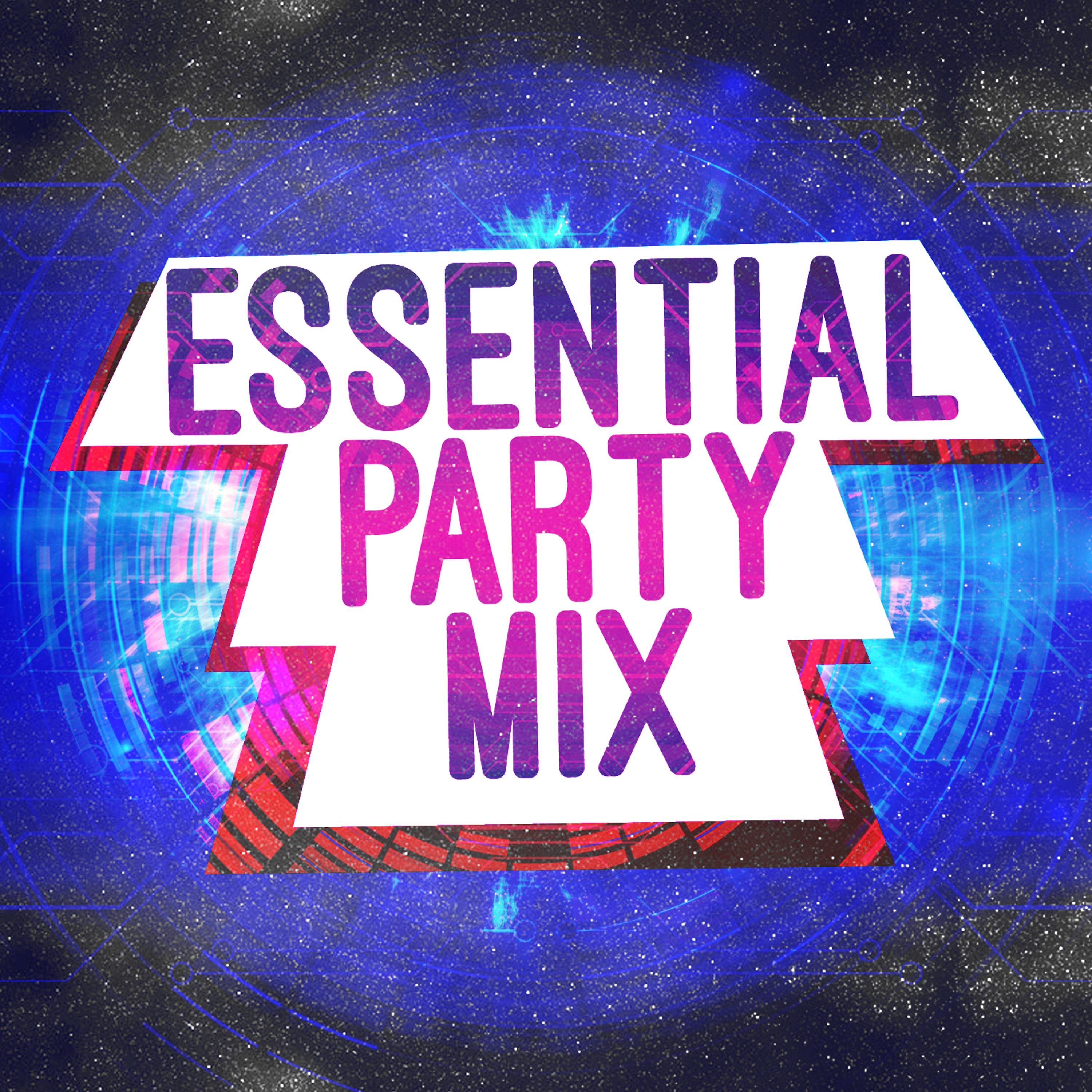 Постер альбома Essential Party Mix