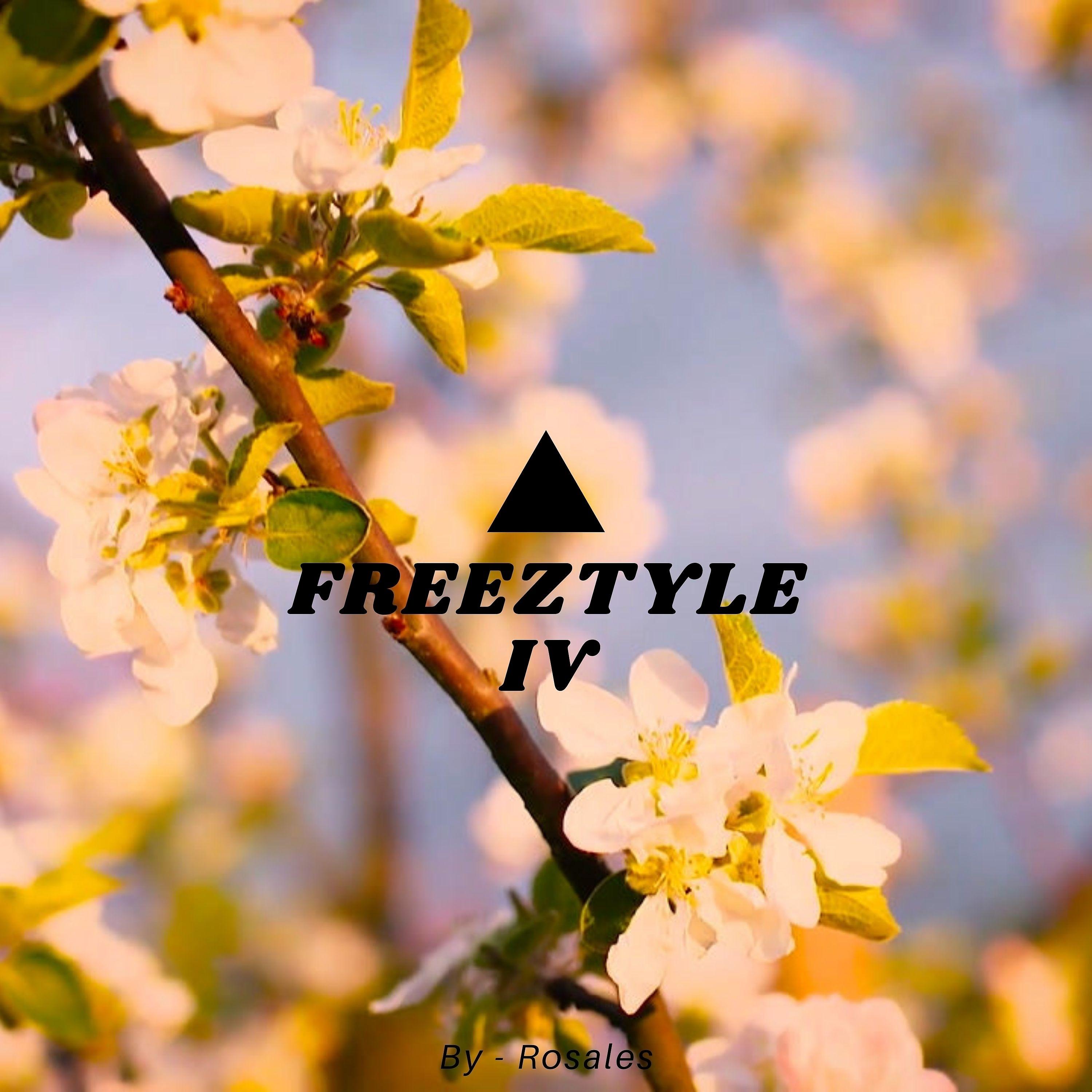 Постер альбома Freeztytle IV