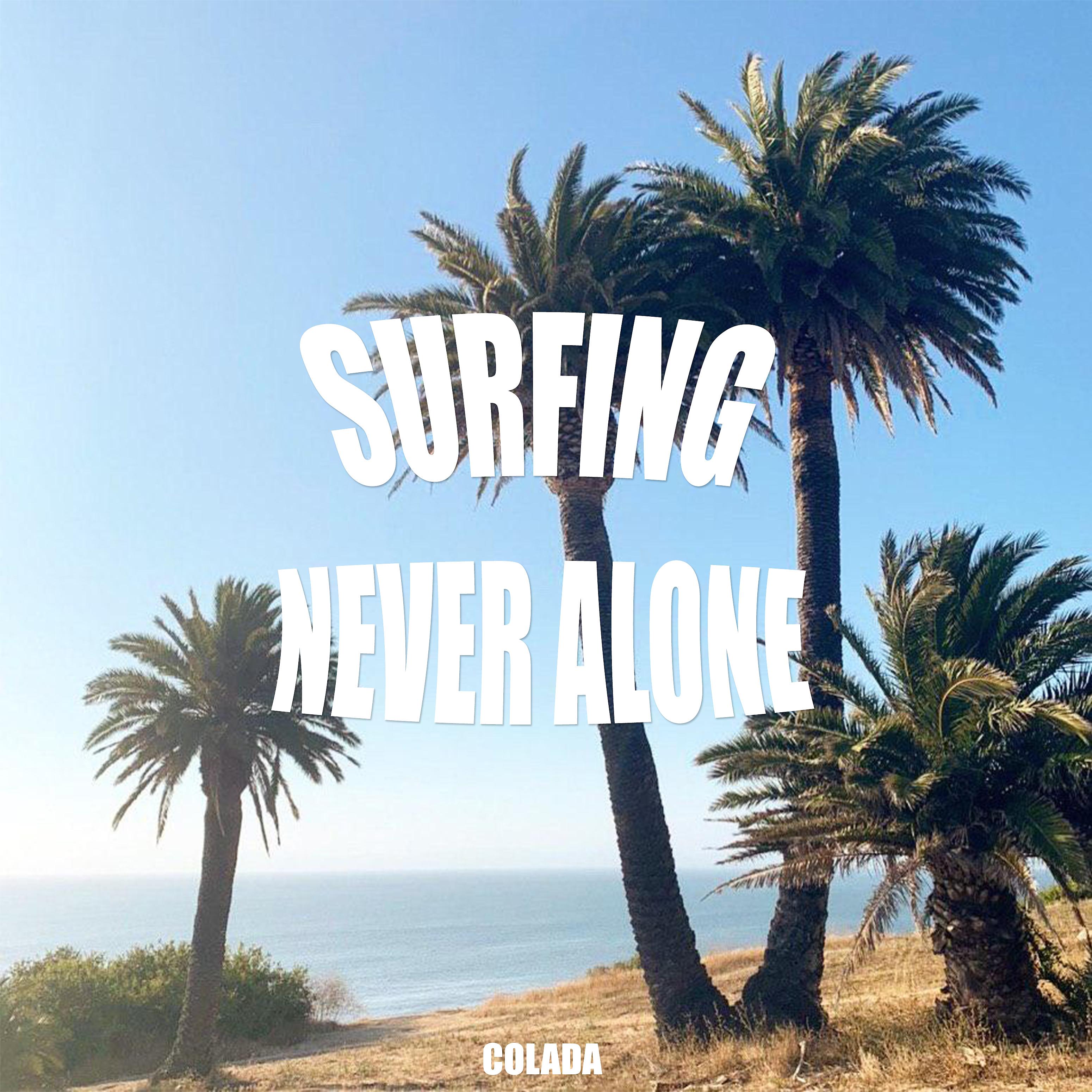 Постер альбома Surfing Never Alone