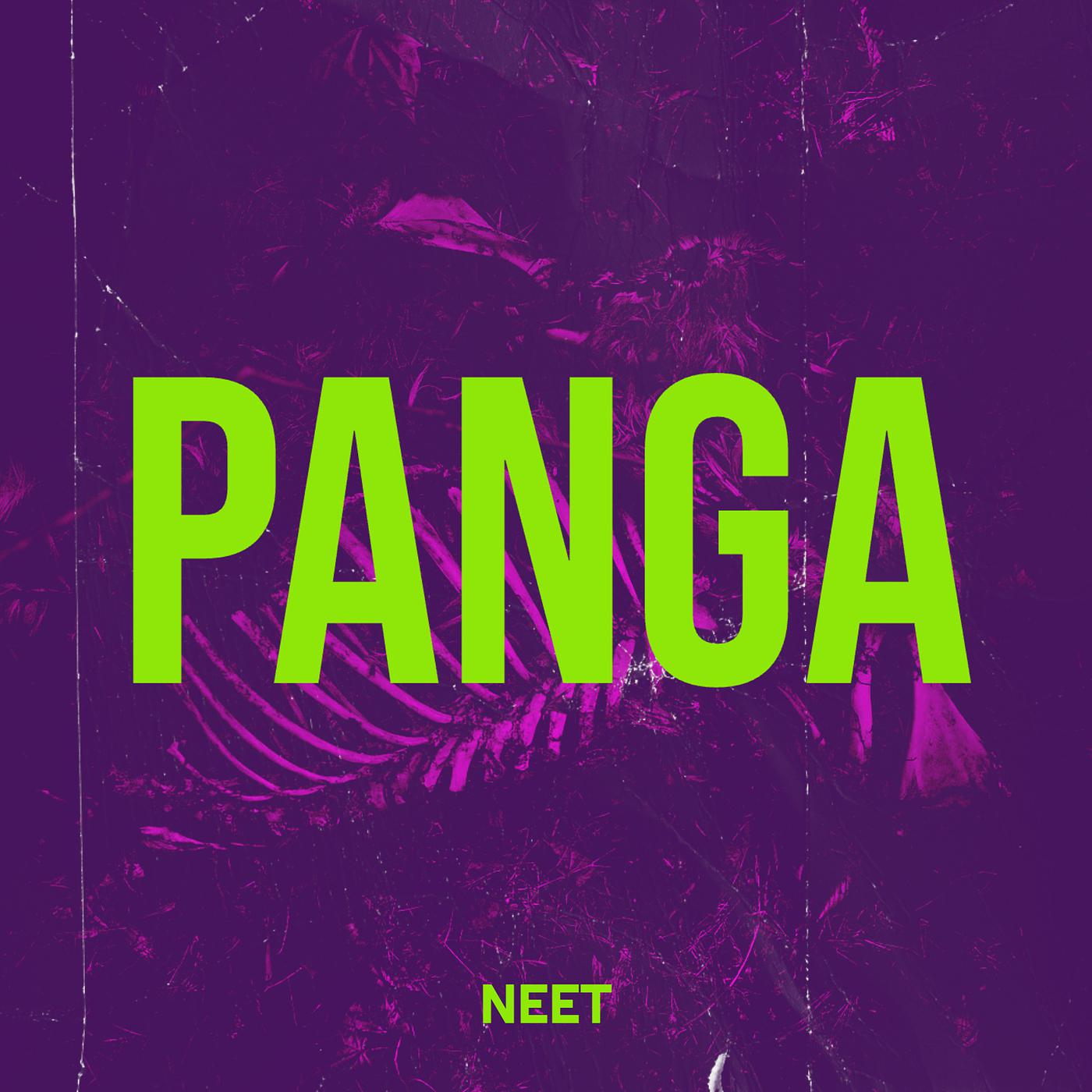 Постер альбома Panga