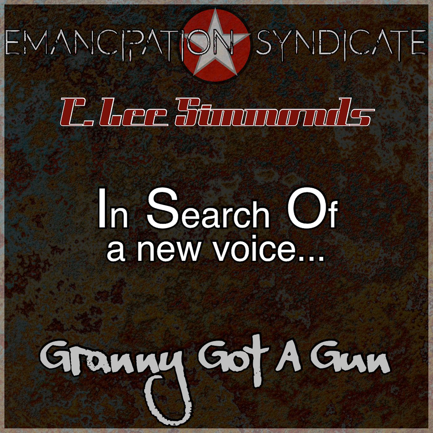 Постер альбома In Search of a New Voice: Granny Got a Gun