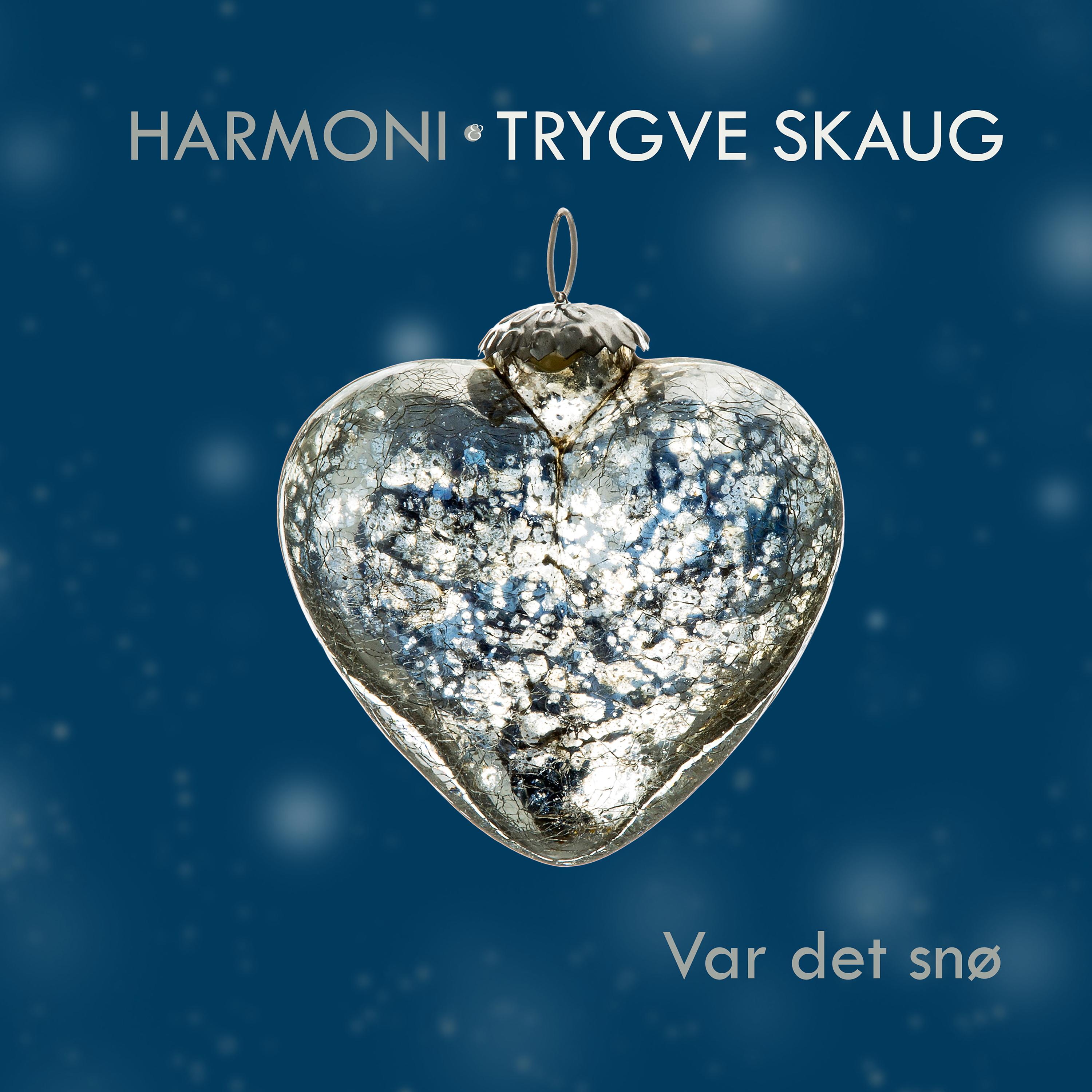 Постер альбома Var det snø