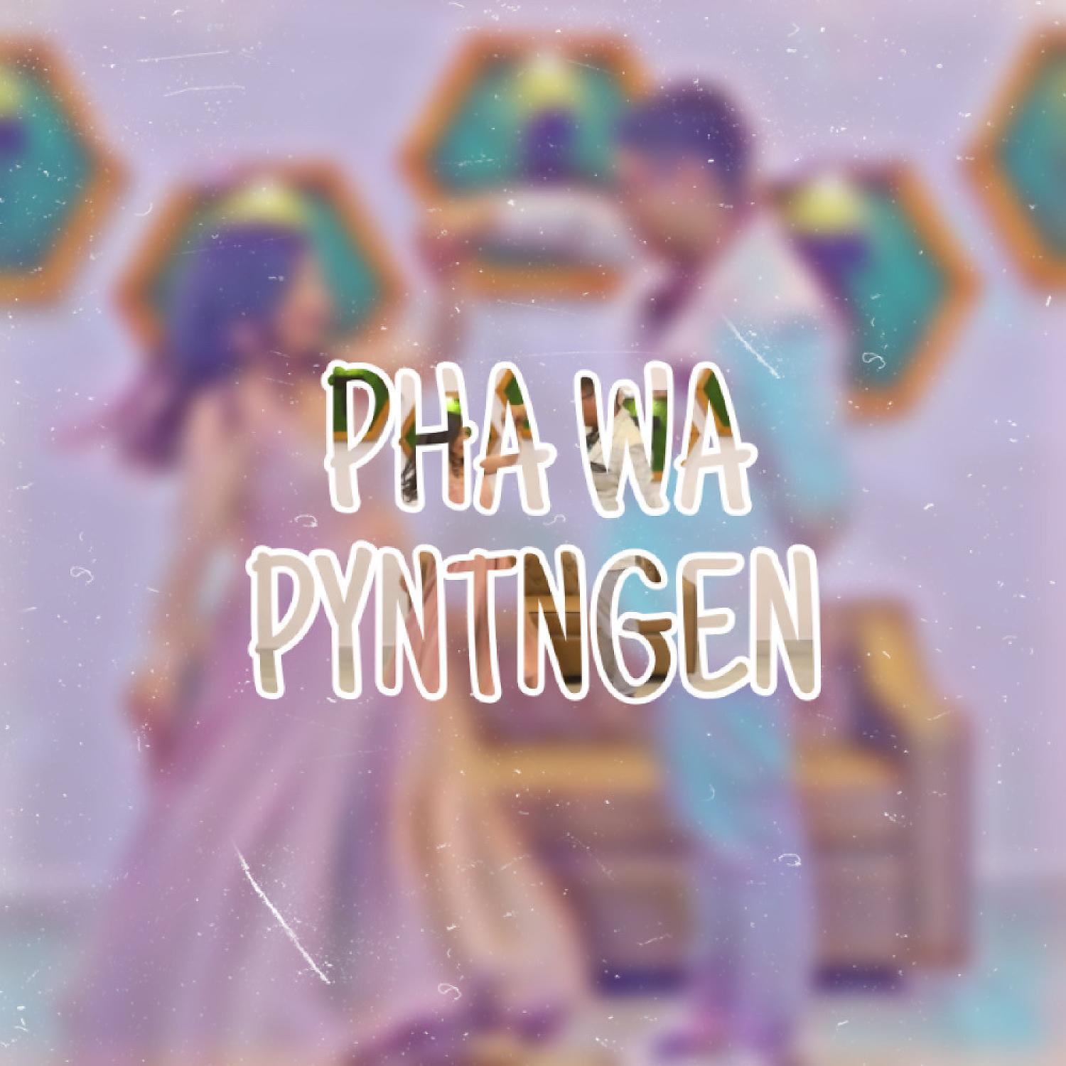 Постер альбома Pha wa pyntngen (feat. Diamonz)