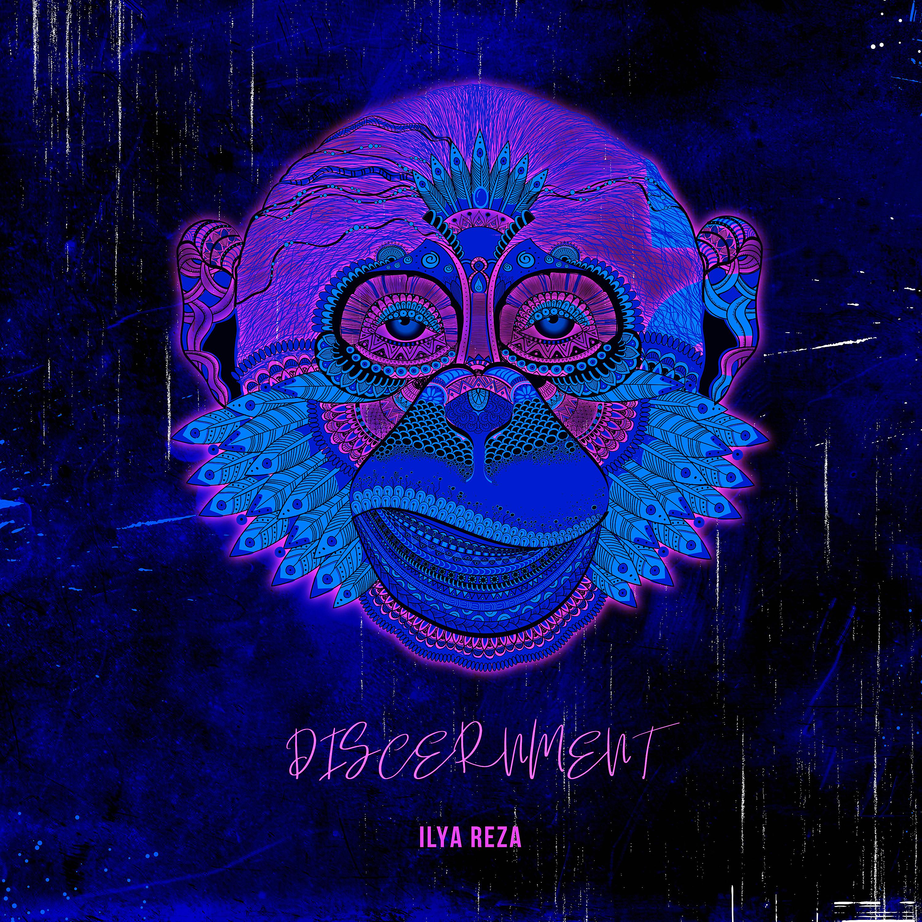 Постер альбома Discernment