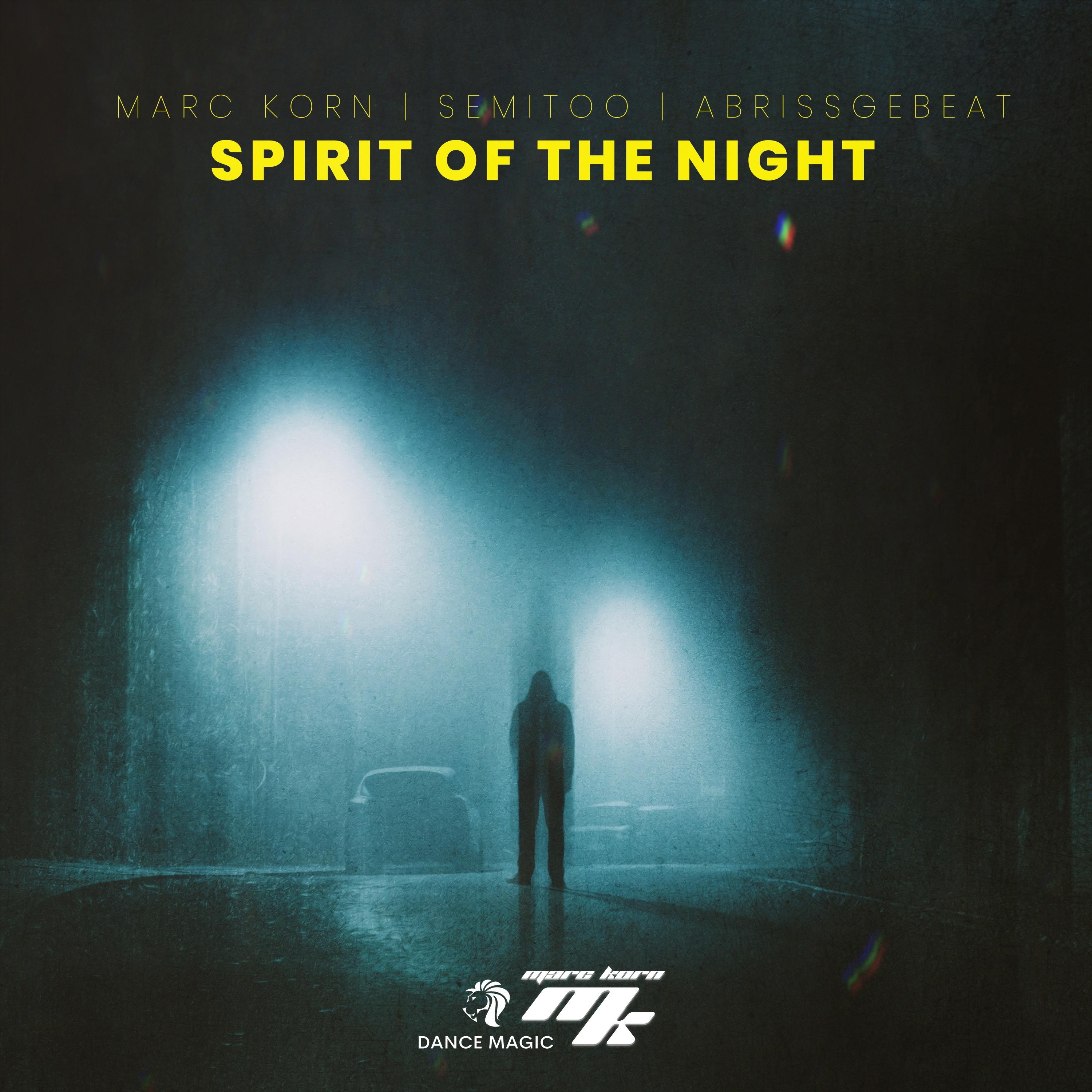 Постер альбома Spirit Of The Night