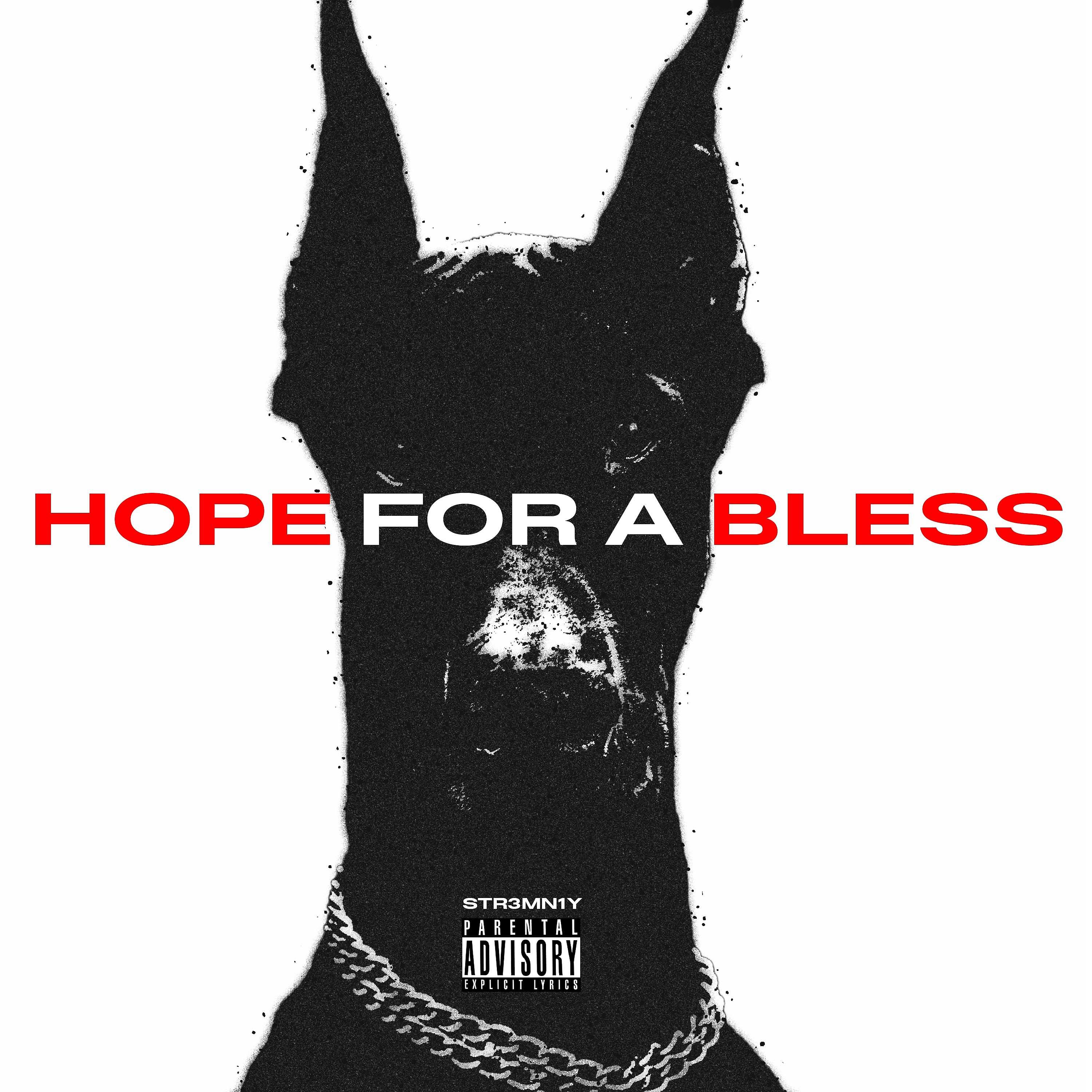 Постер альбома Hope for a Bless