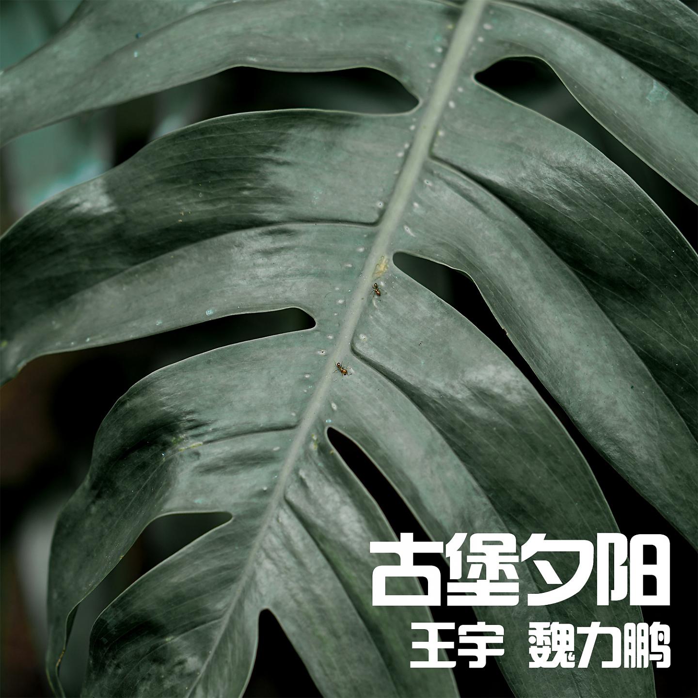 Постер альбома 古堡夕阳