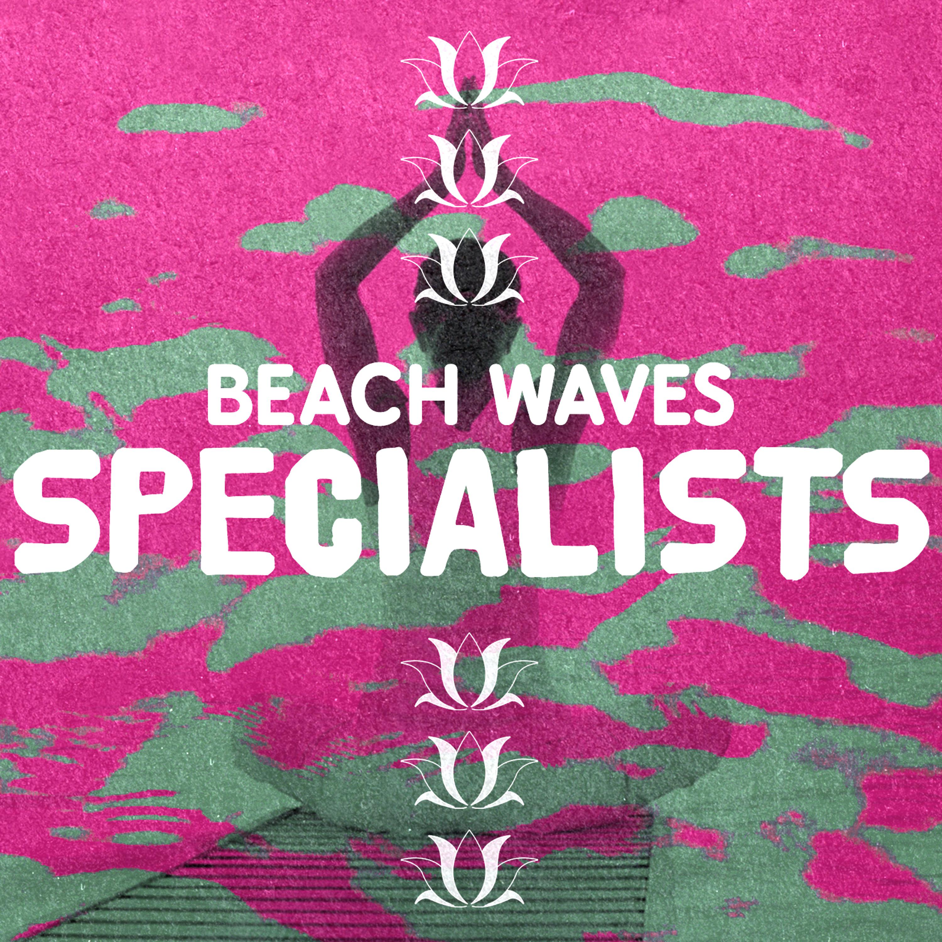 Постер альбома Beach Waves Specialists