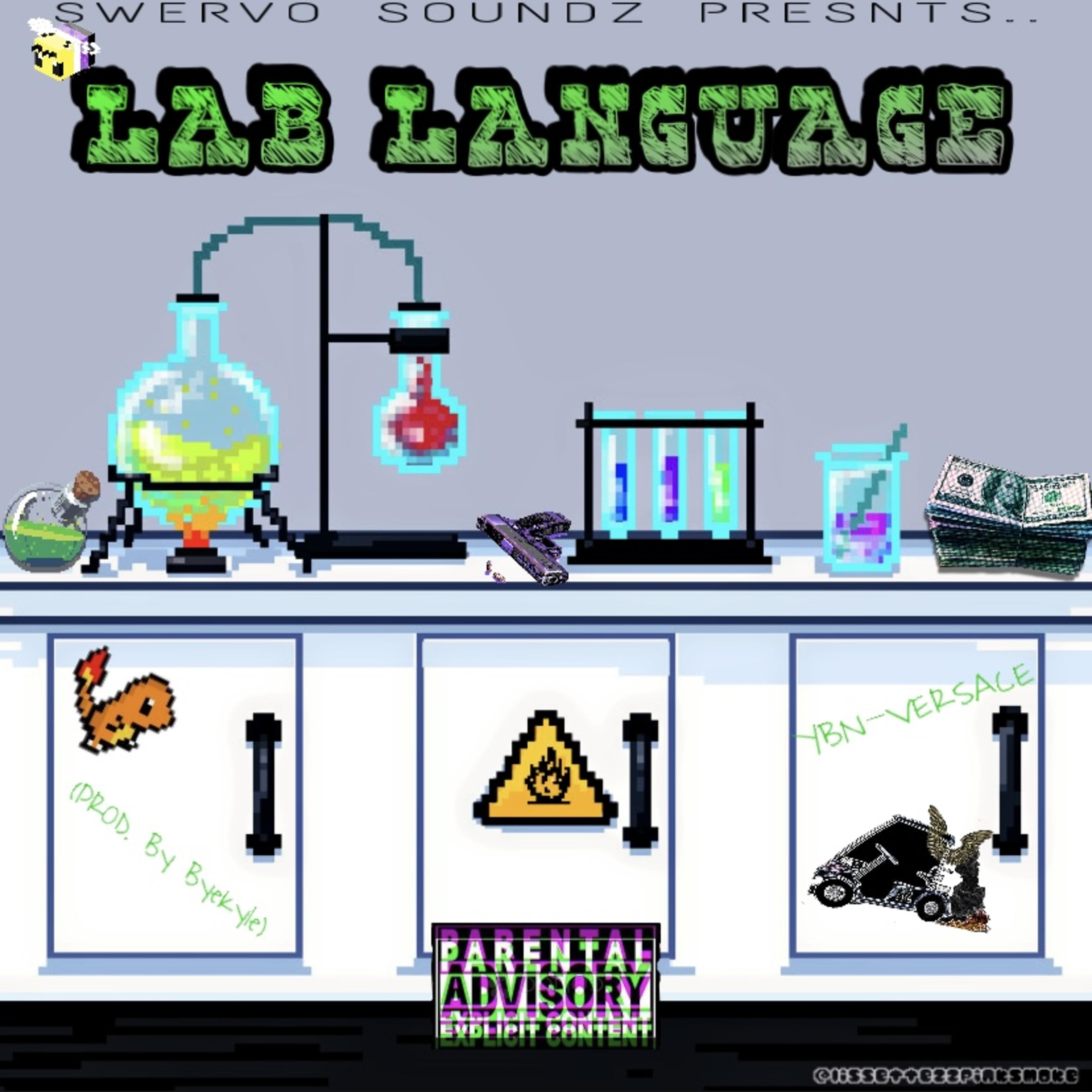Постер альбома Lab Language