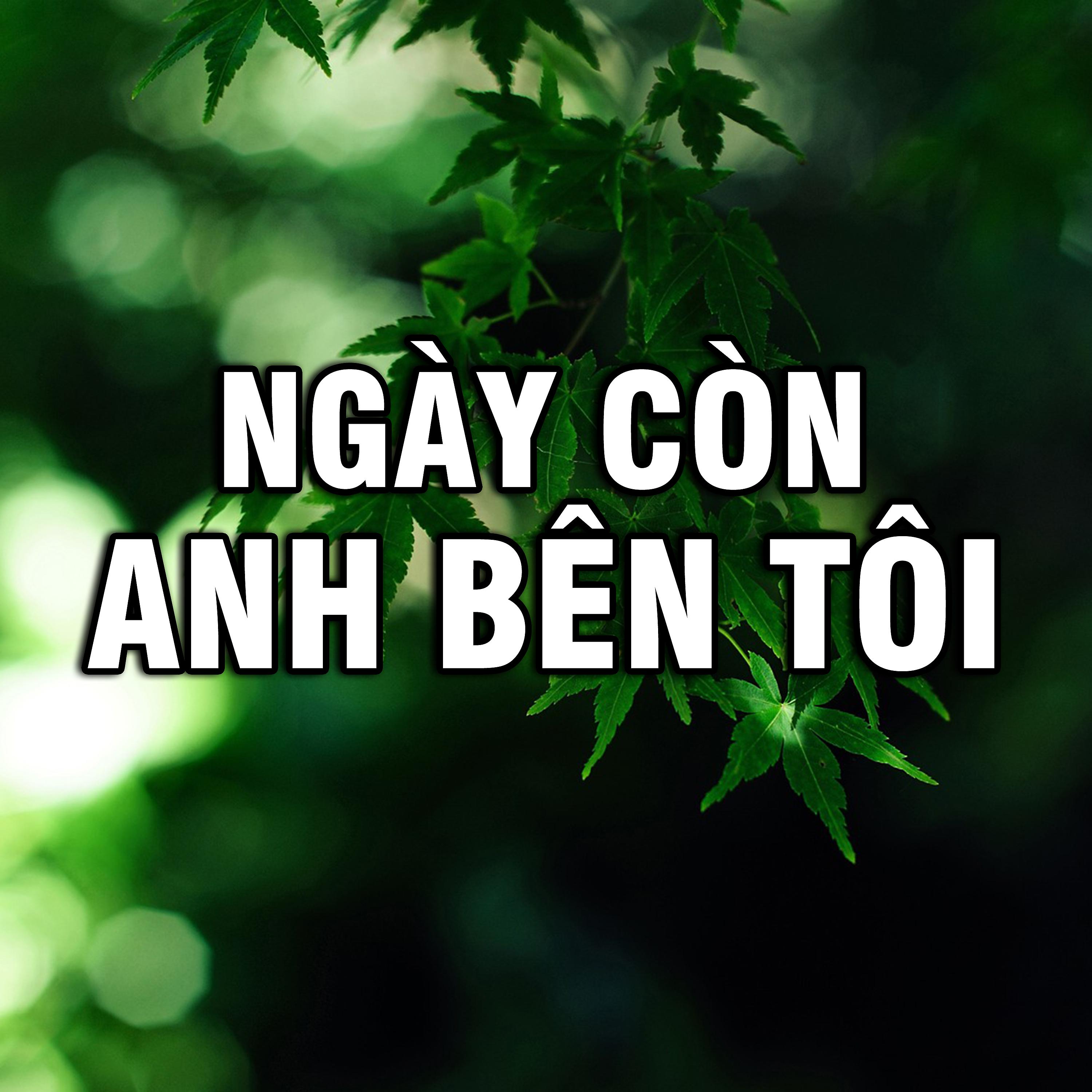 Постер альбома Ngày Còn Anh Bên Tôi