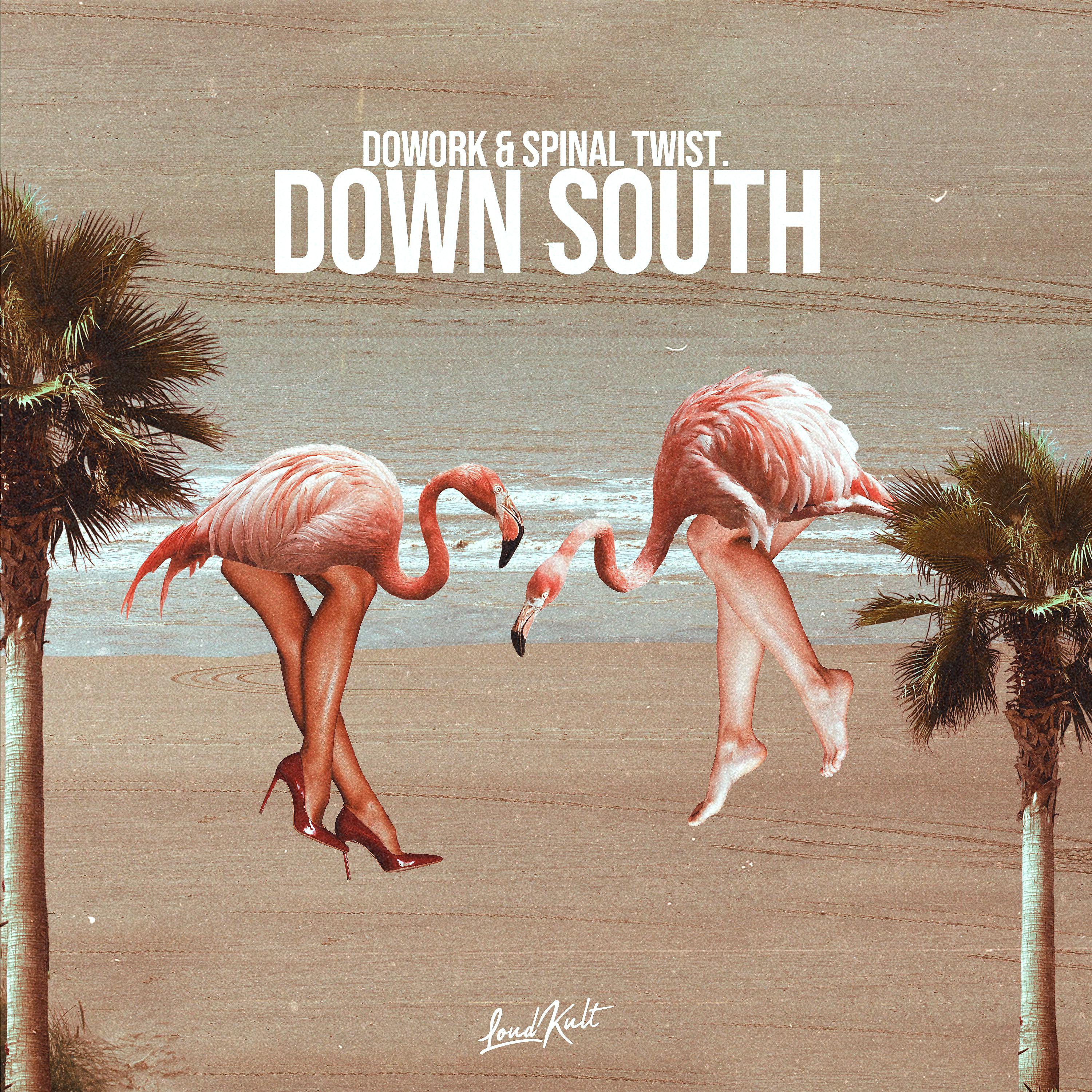 Постер альбома Down South