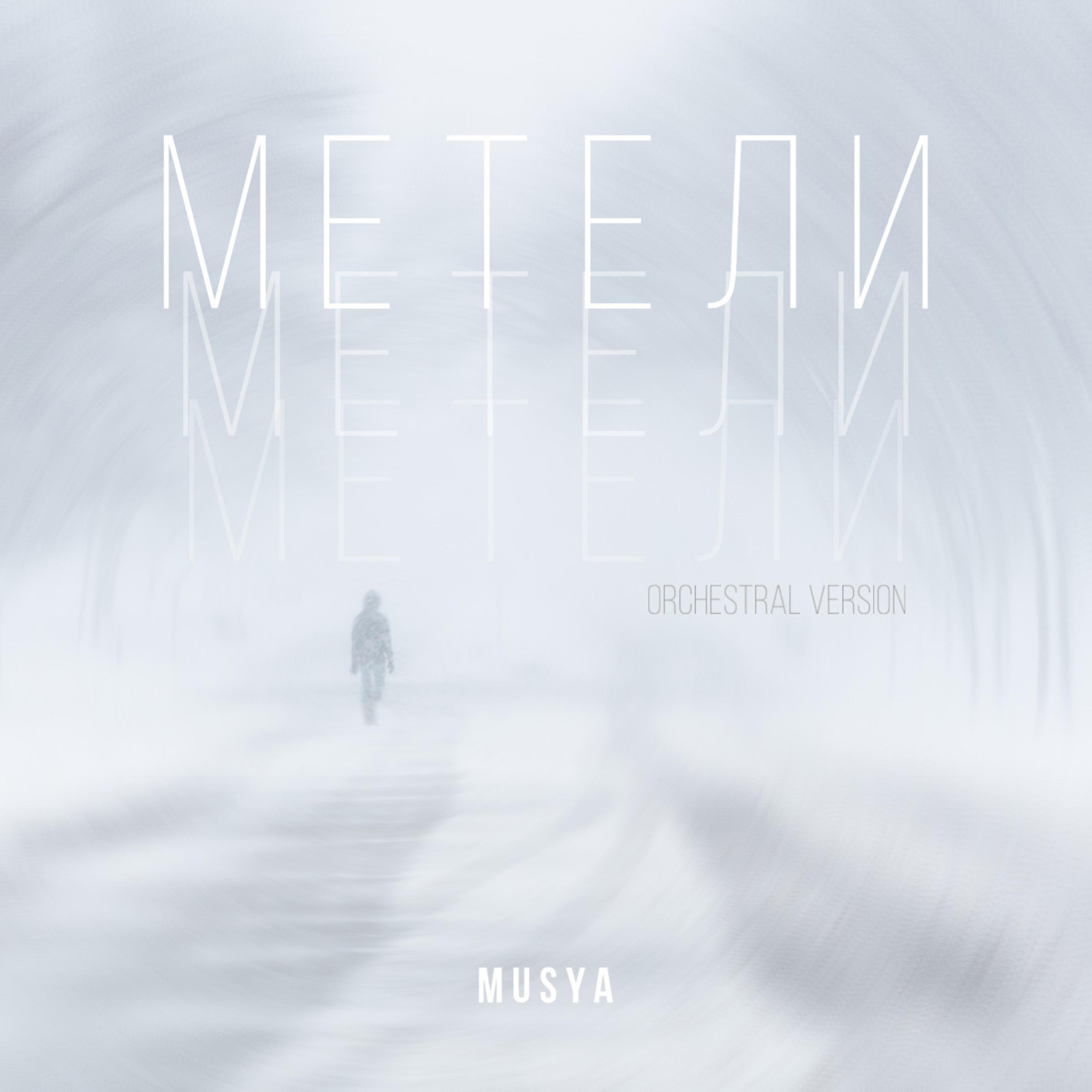 Постер альбома Метели (Orchestral Version)
