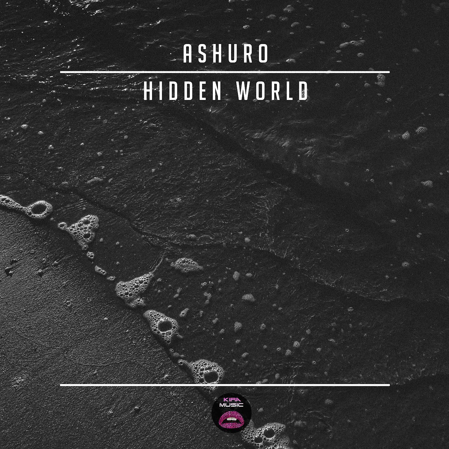 Постер альбома Hidden World
