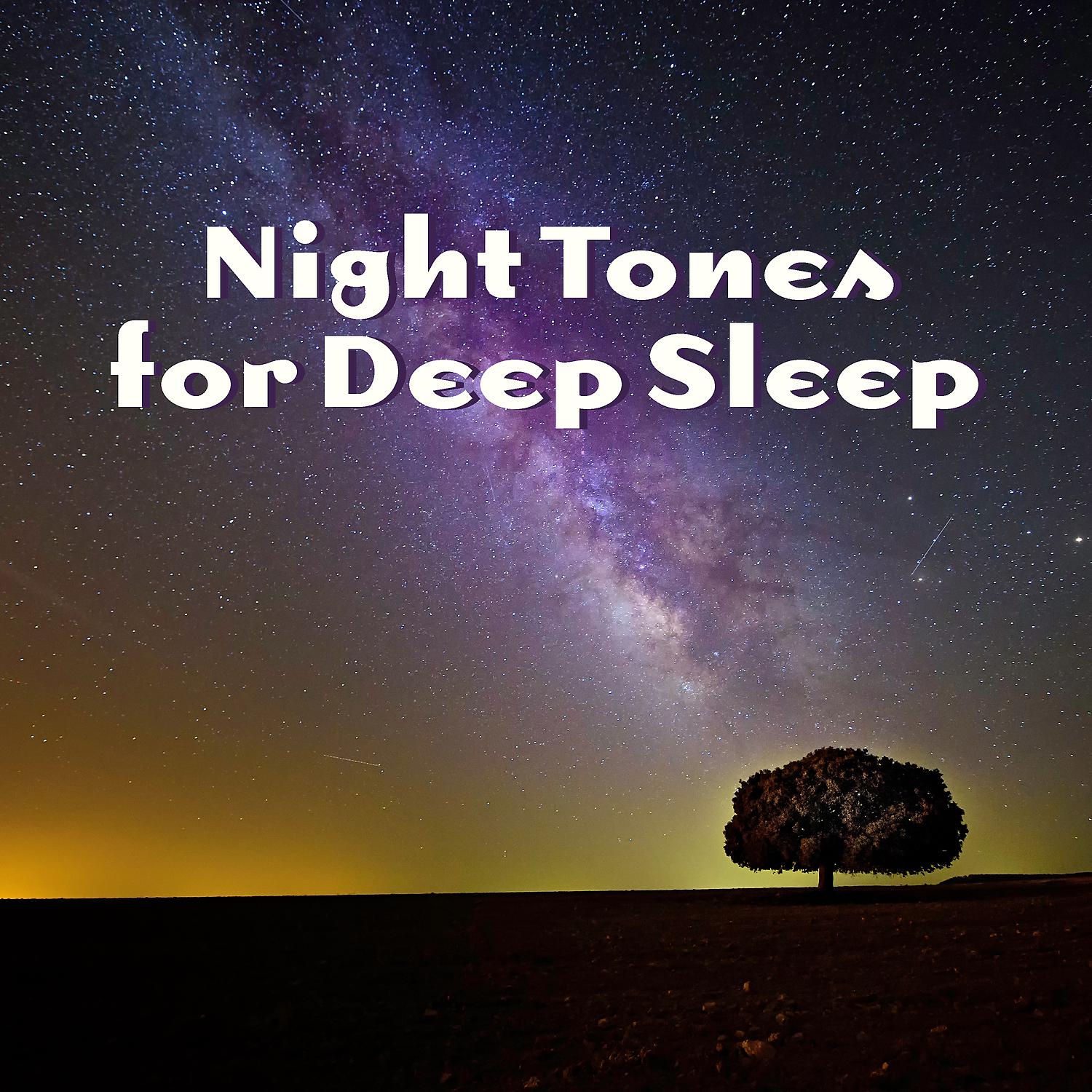 Постер альбома Night Tones for Deep Sleep: Instrumental New Age for Relaxation and Regeneration During Sleep, Cure for Trouble Sleeping, Natural Sleep Aid