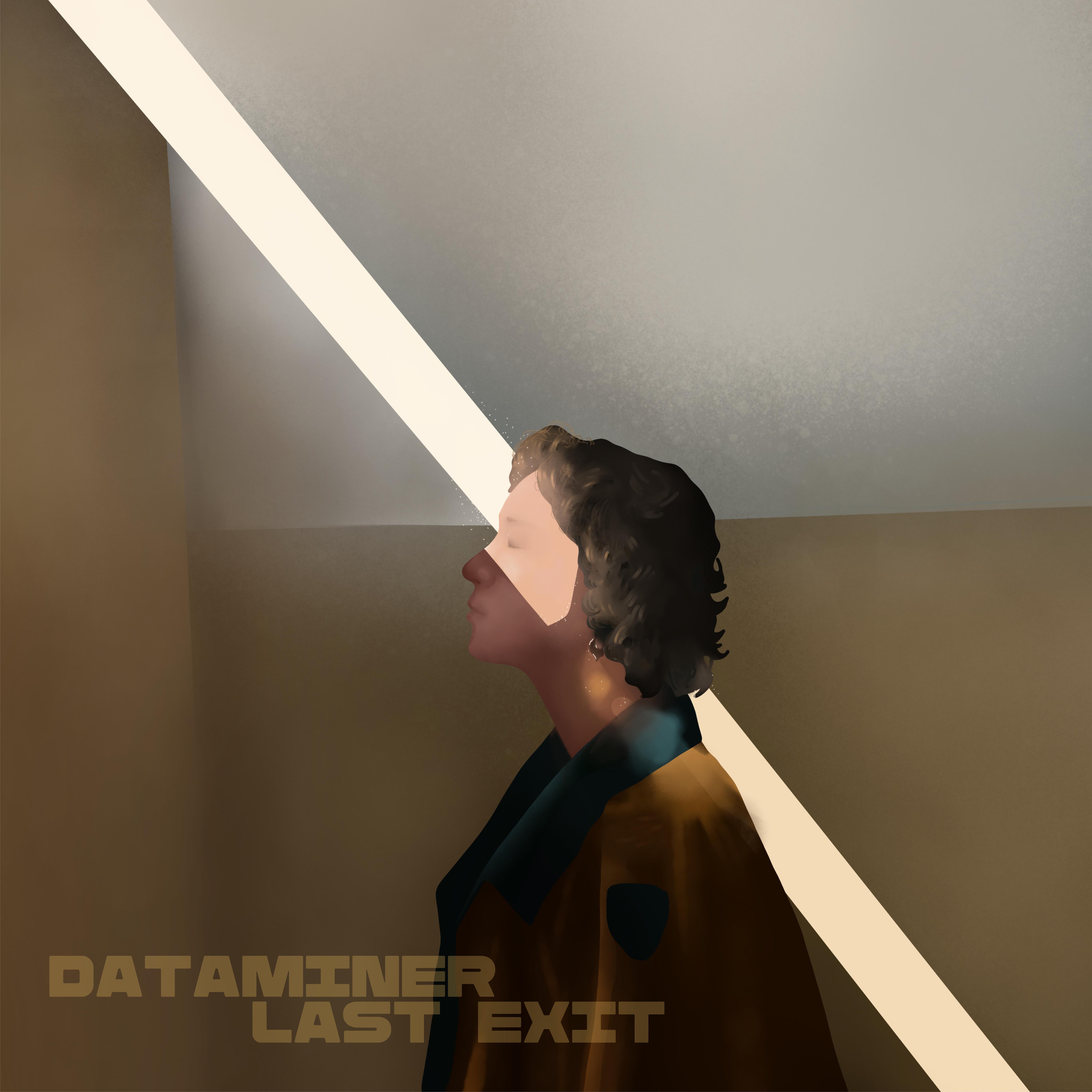 Постер альбома Dataminer