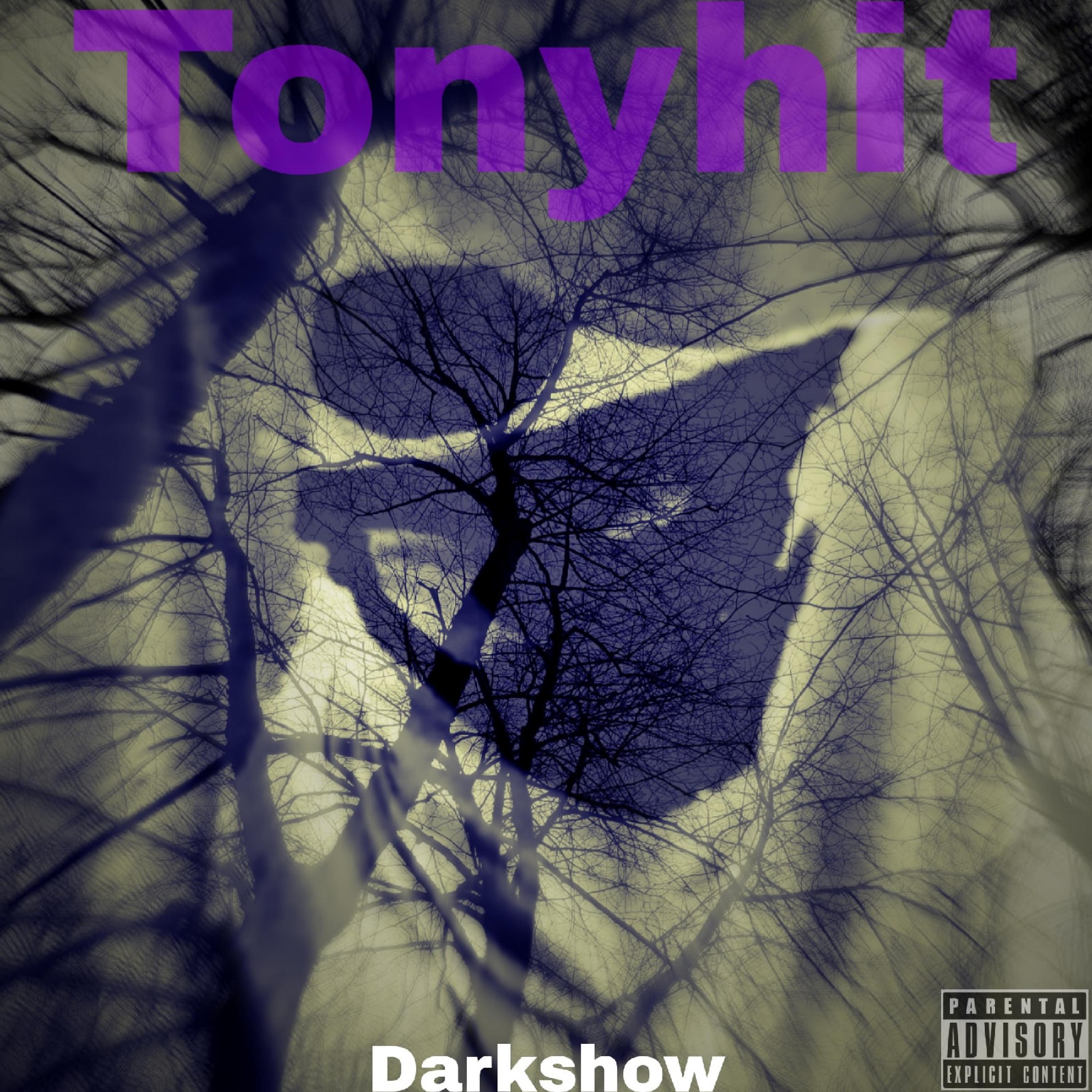 Постер альбома Darkshow