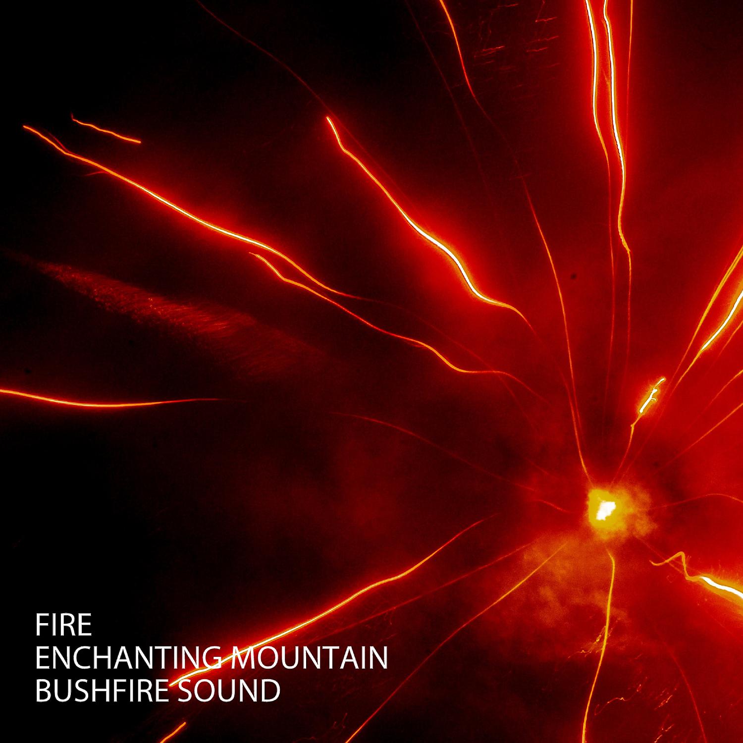 Постер альбома Fire: Enchanting Mountain Bushfire Sound
