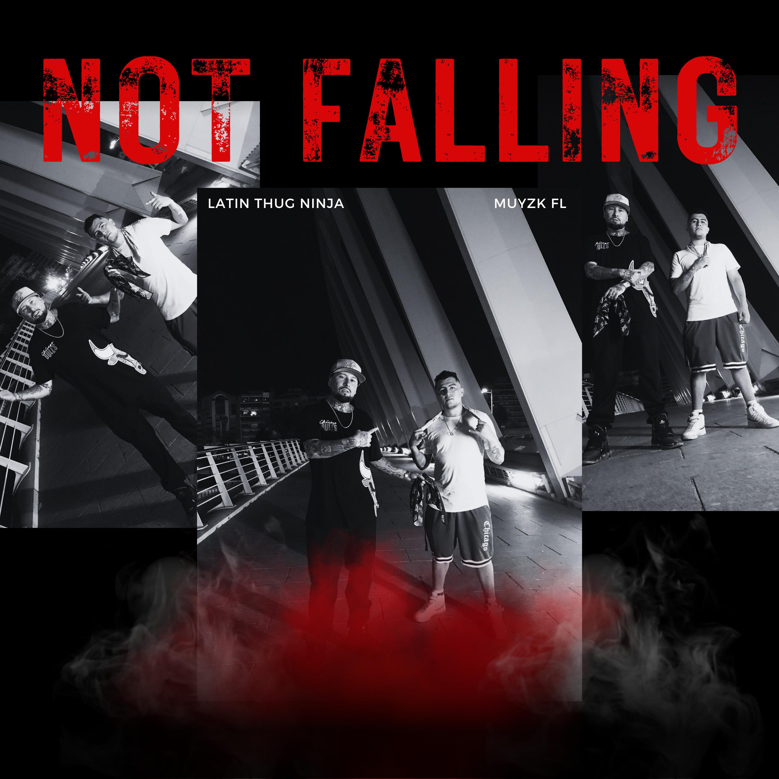 Постер альбома Not Falling