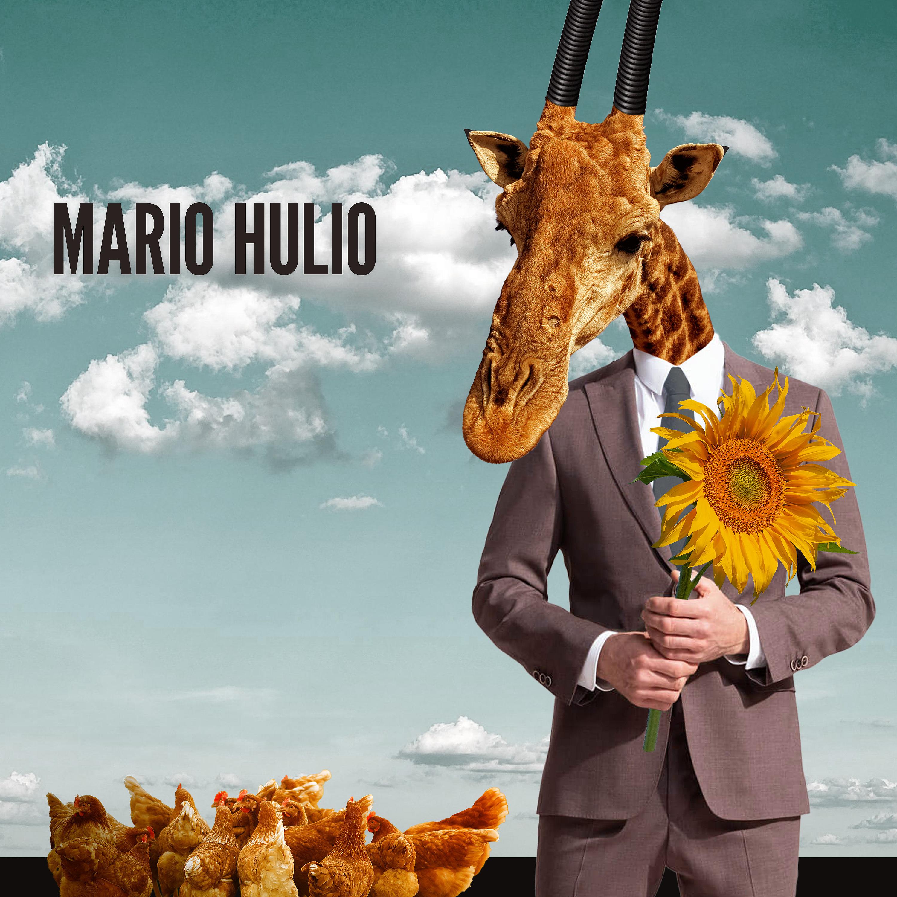 Постер альбома Mario Hulio
