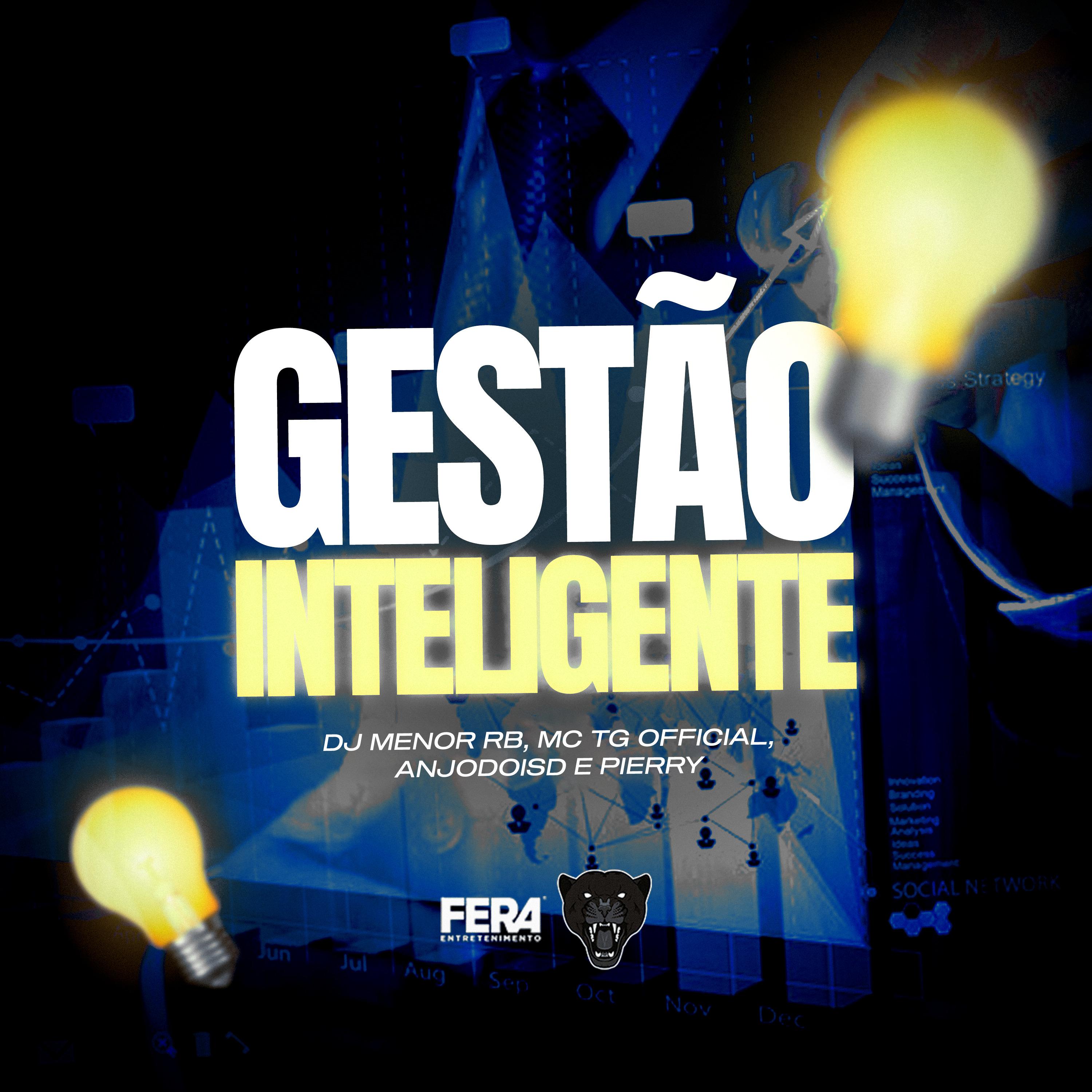 Постер альбома Gestão Inteligente