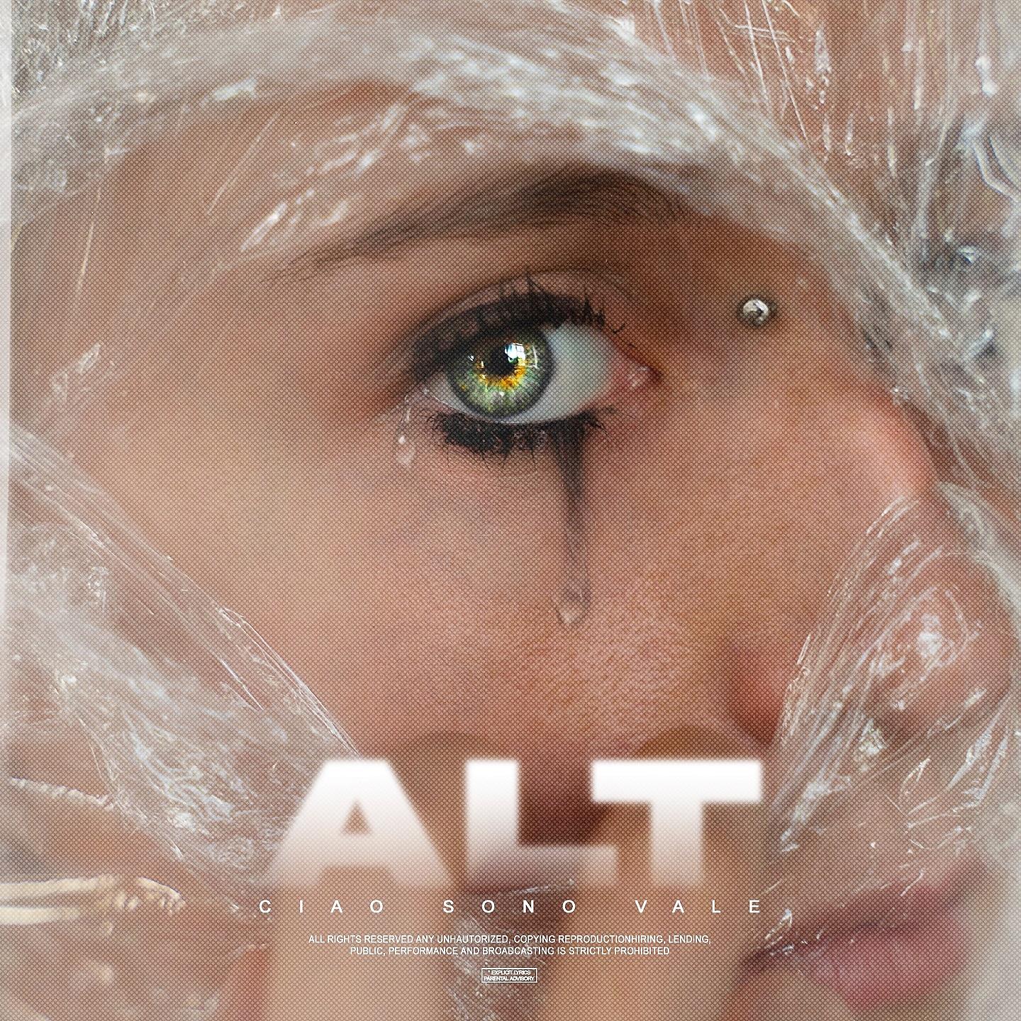 Постер альбома Alt