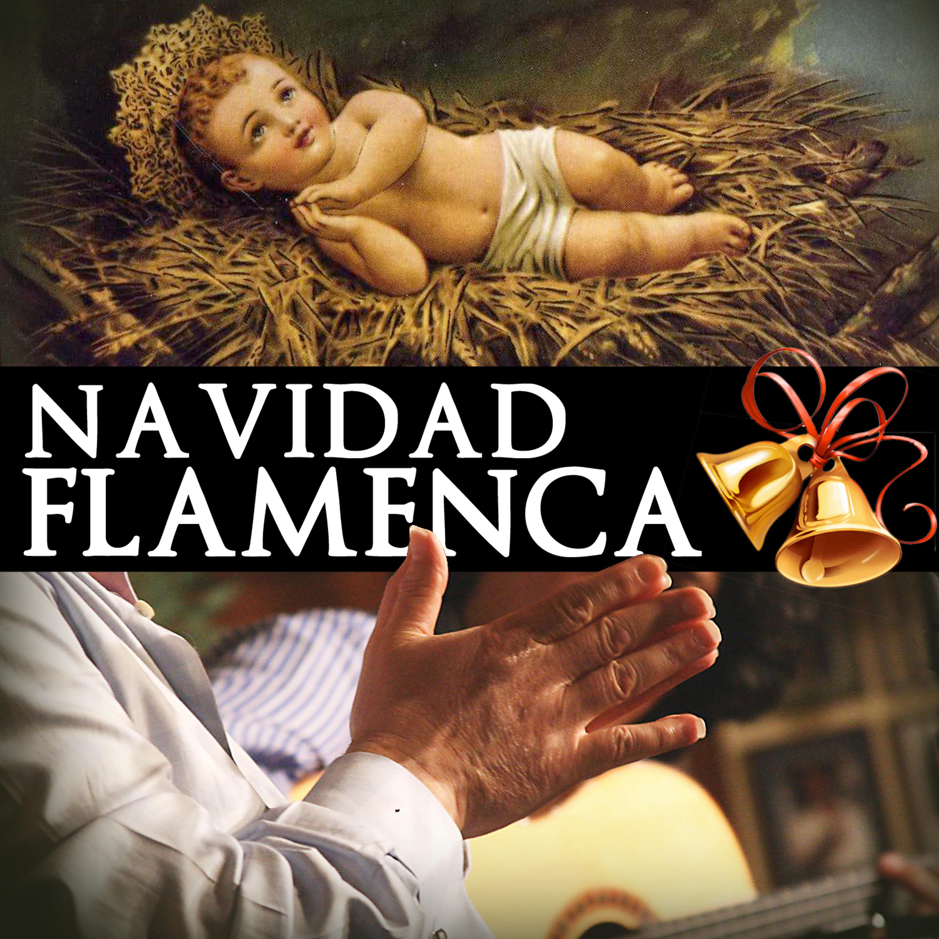 Постер альбома Navidad Flamenca