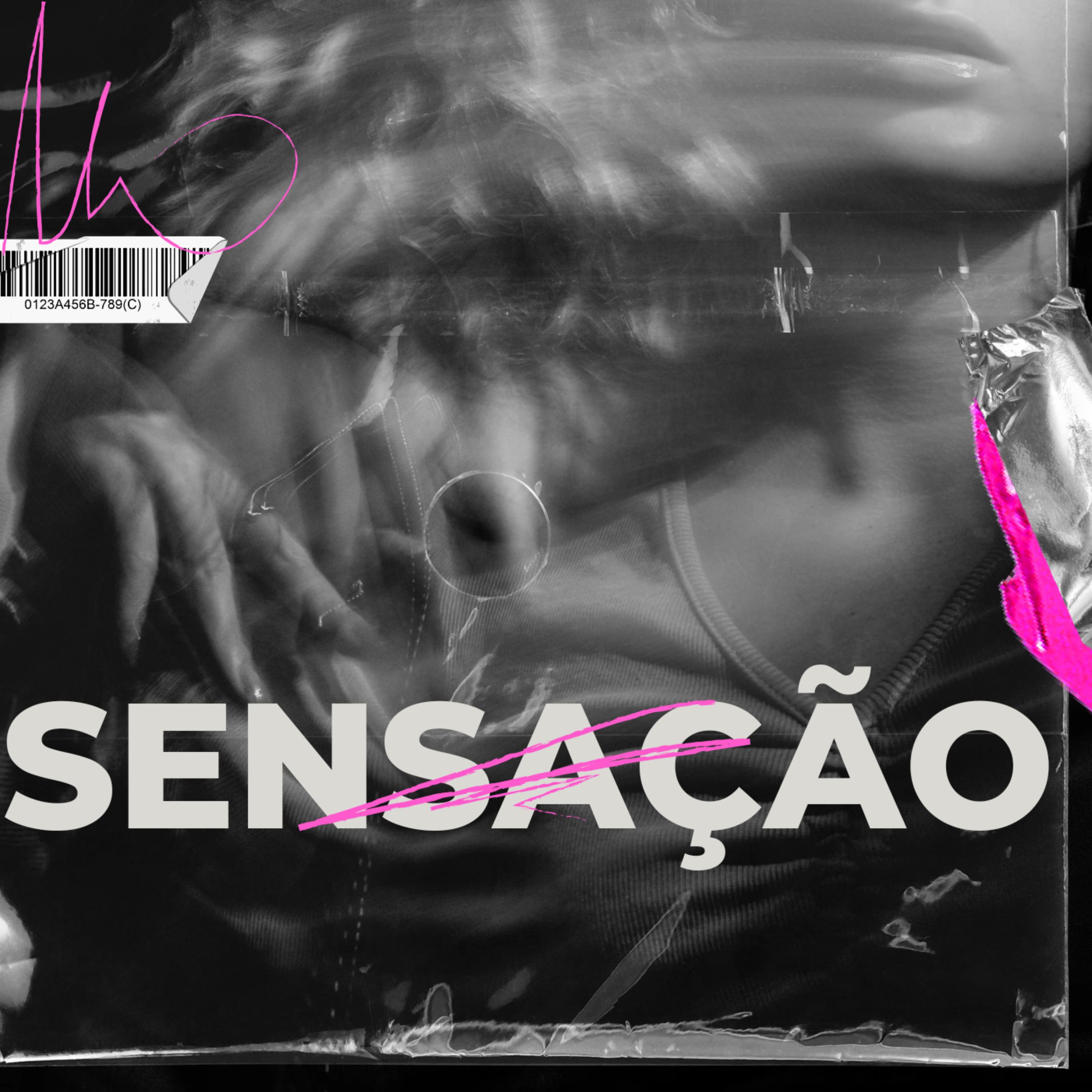 Постер альбома Sensação