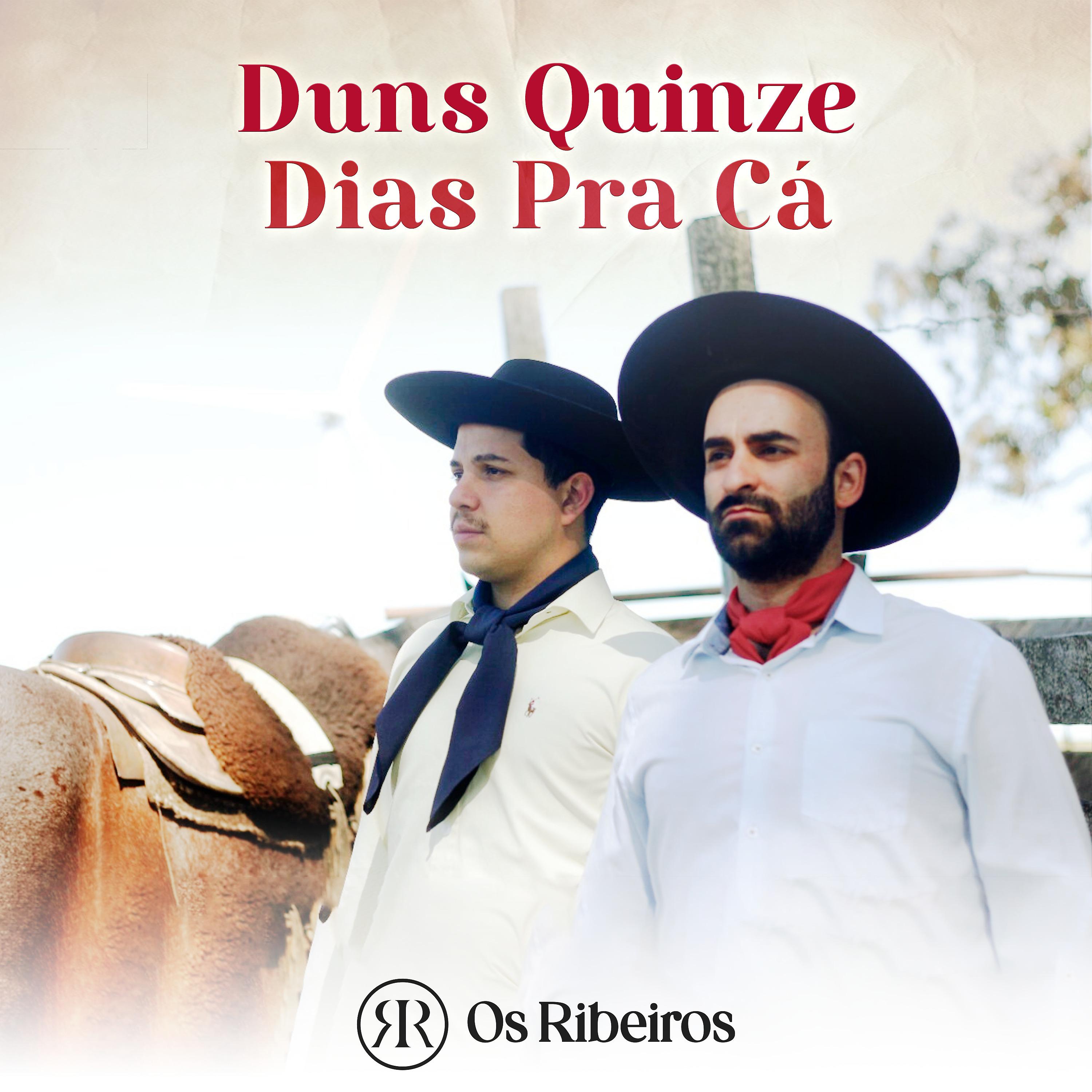 Постер альбома Duns Quinze Dias pra Cá