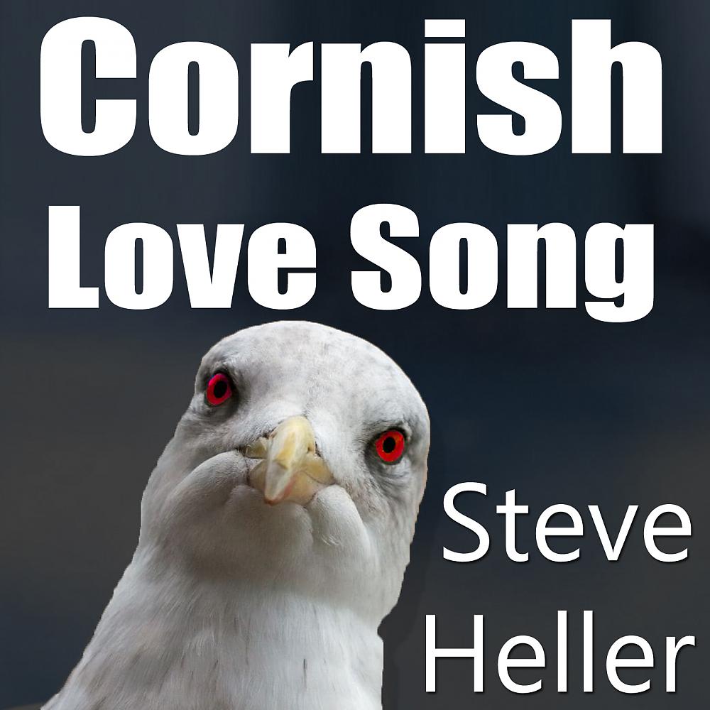 Постер альбома Cornish Love Song