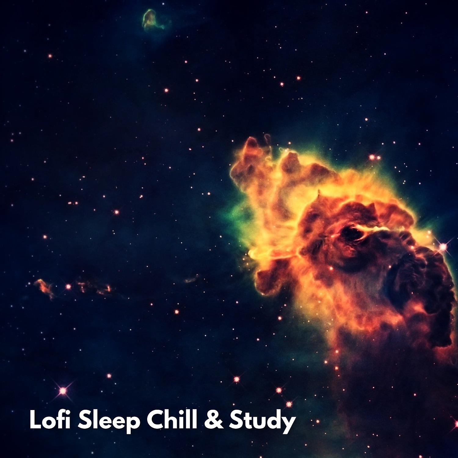 Постер альбома Lofi Sleep Chill & Study