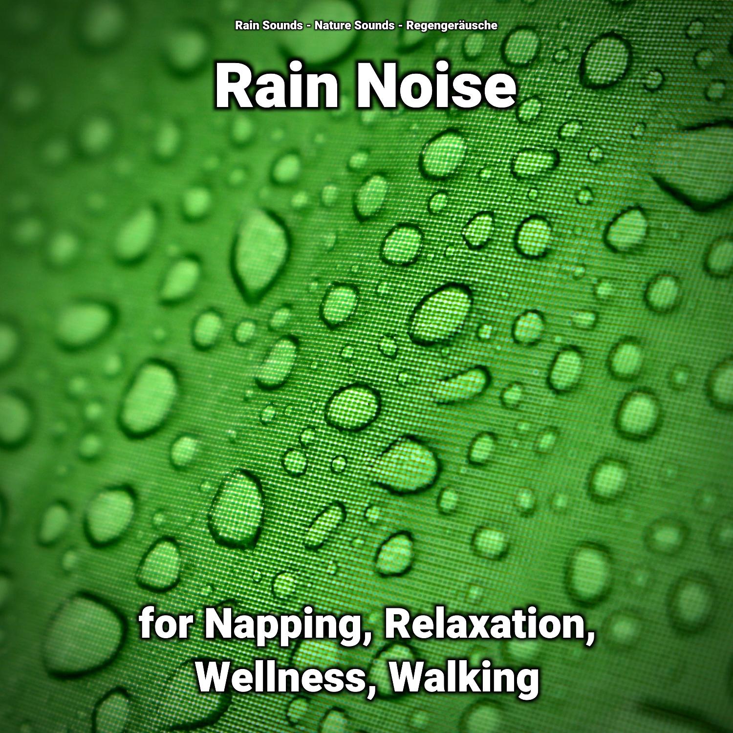 Постер альбома Rain Noise for Napping, Relaxation, Wellness, Walking