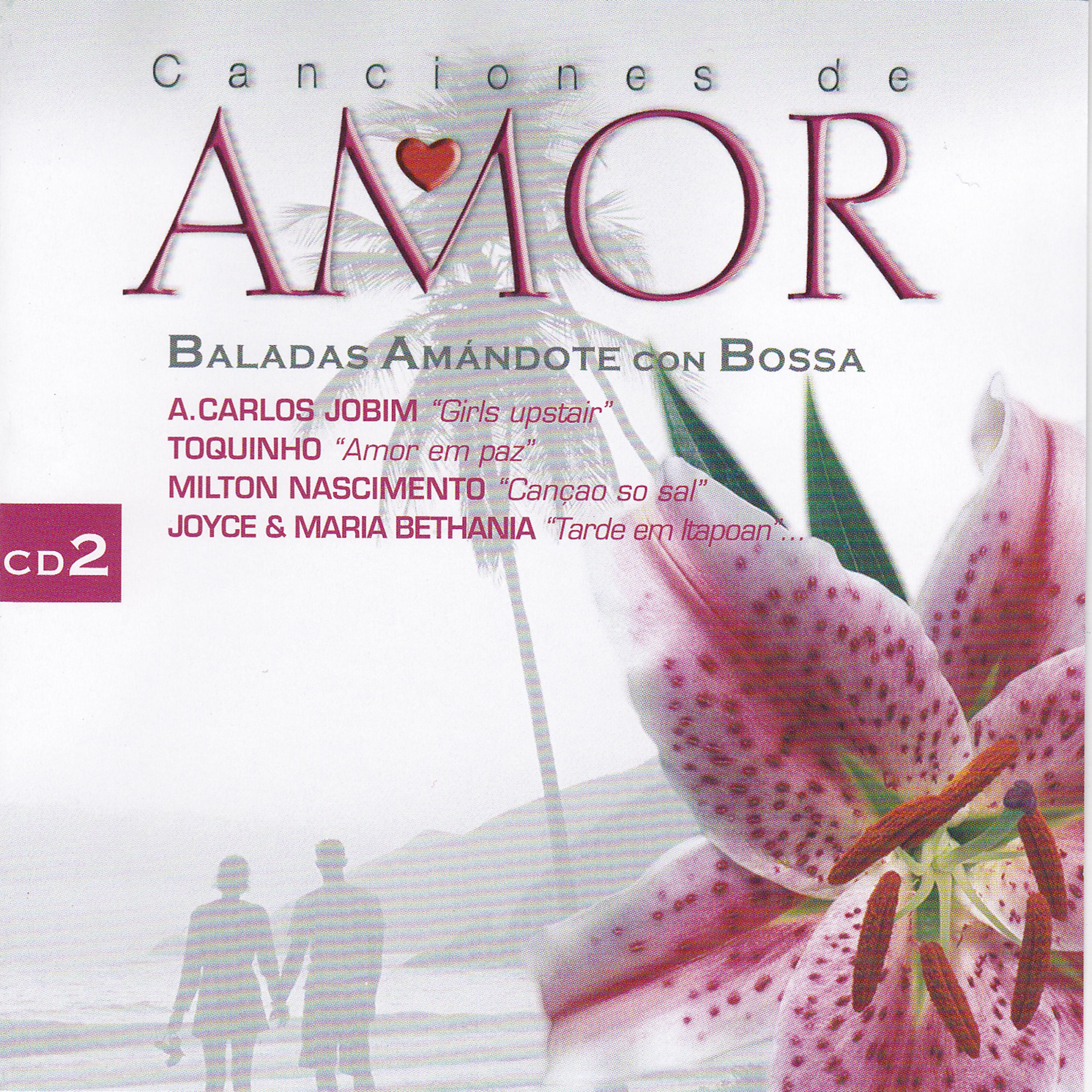 Постер альбома Baladas Amándote Con Bossa Vol 2