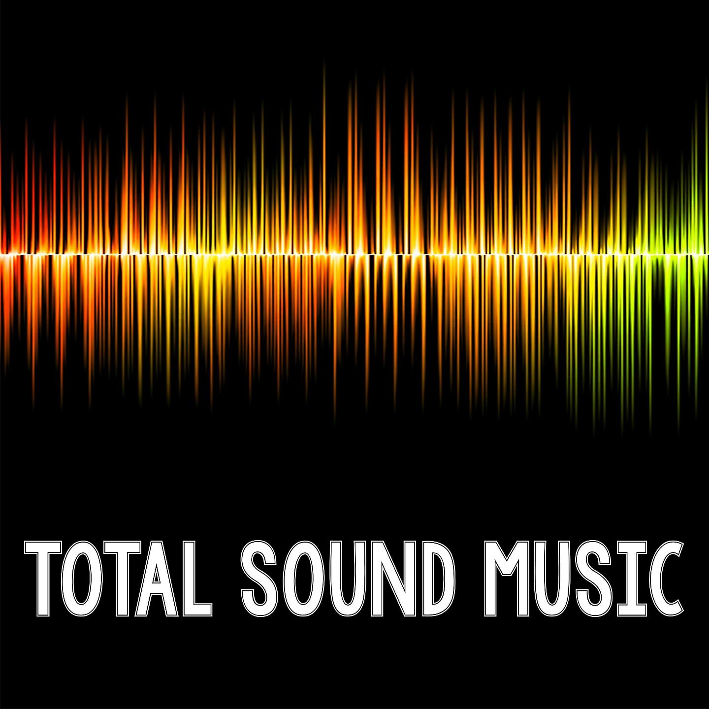 Постер альбома Total Sound Music