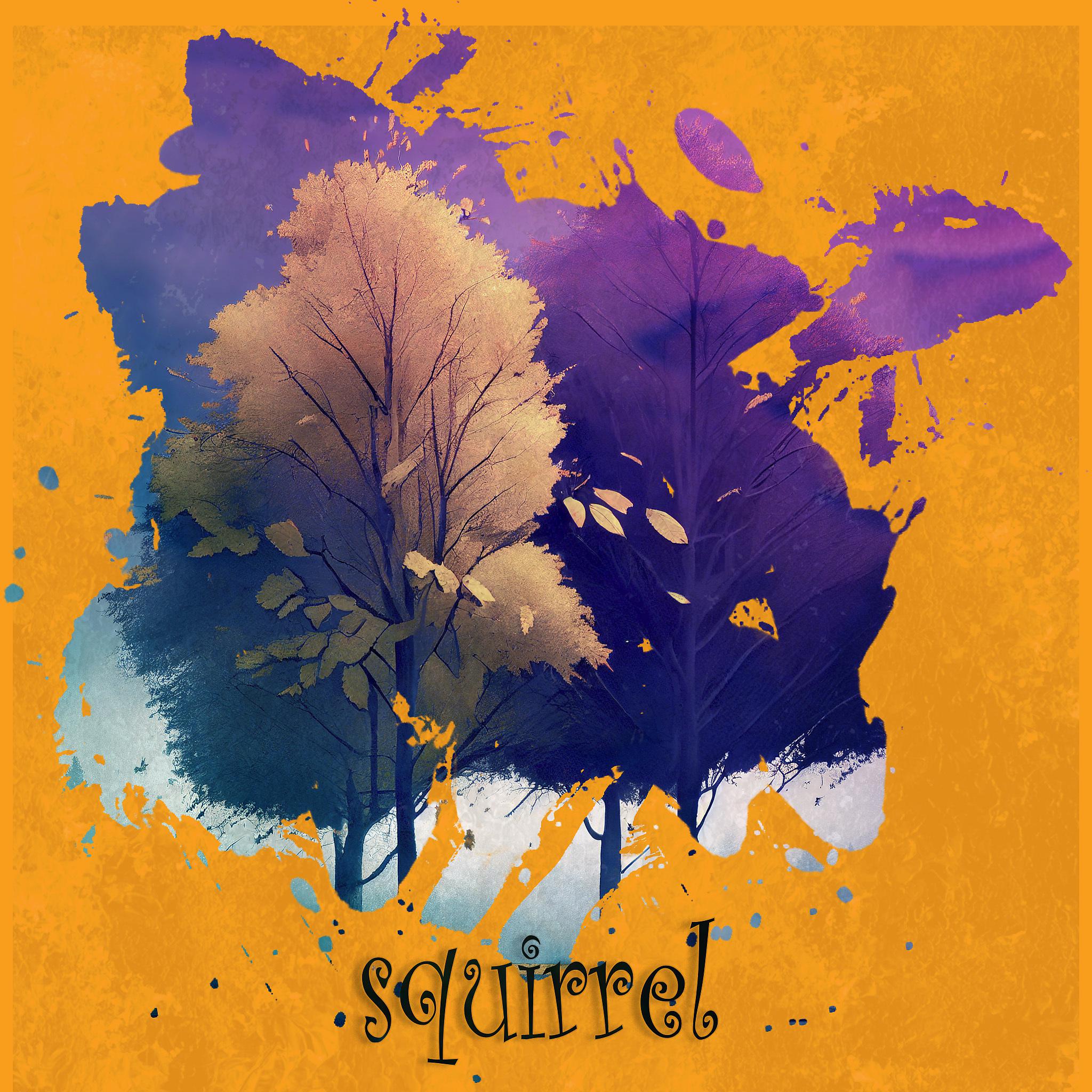Постер альбома Squirrel