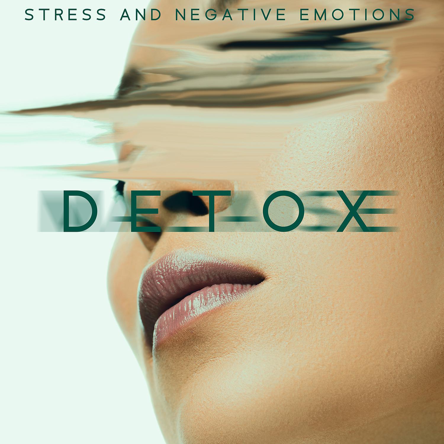 Постер альбома Stress and Negative Emotions Detox: New Age Peaceful Melodies