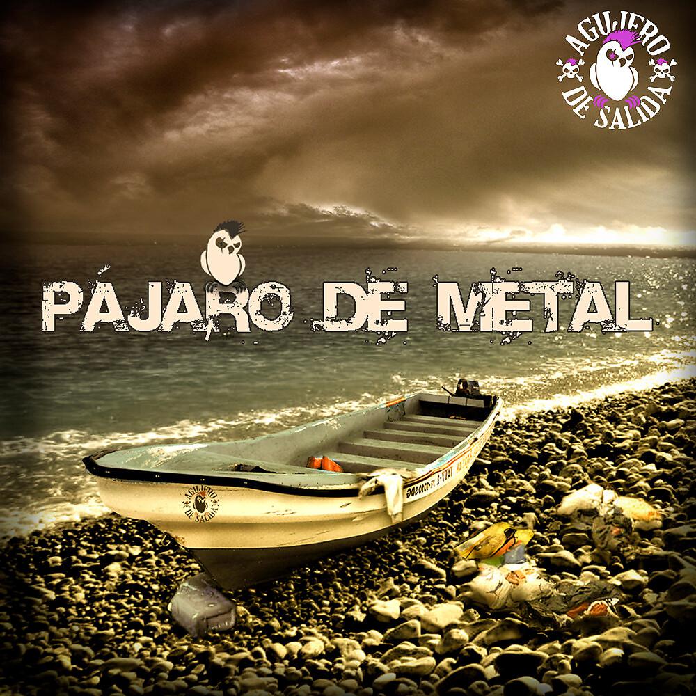 Постер альбома Pájaro de Metal