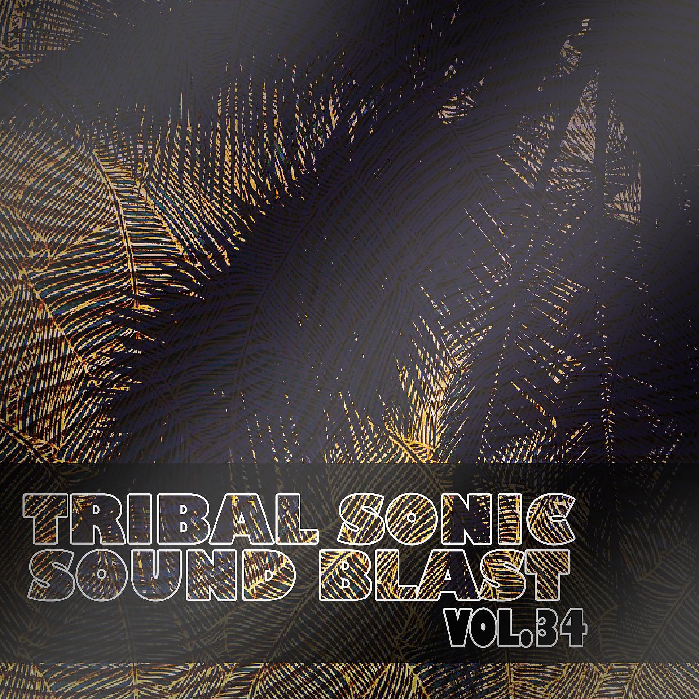 Постер альбома Tribal Sonic Soundblast,Vol.34