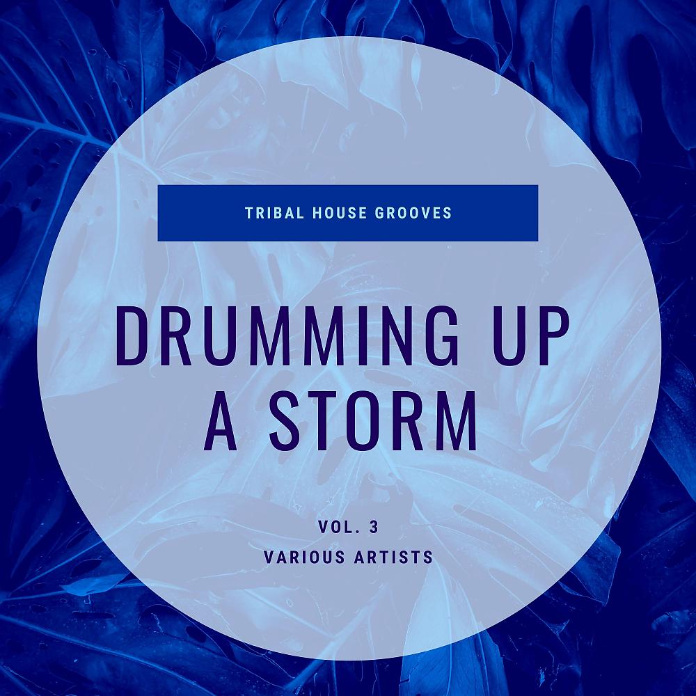 Постер альбома Drumming Up A Storm (Tribal House Grooves), Vol. 3