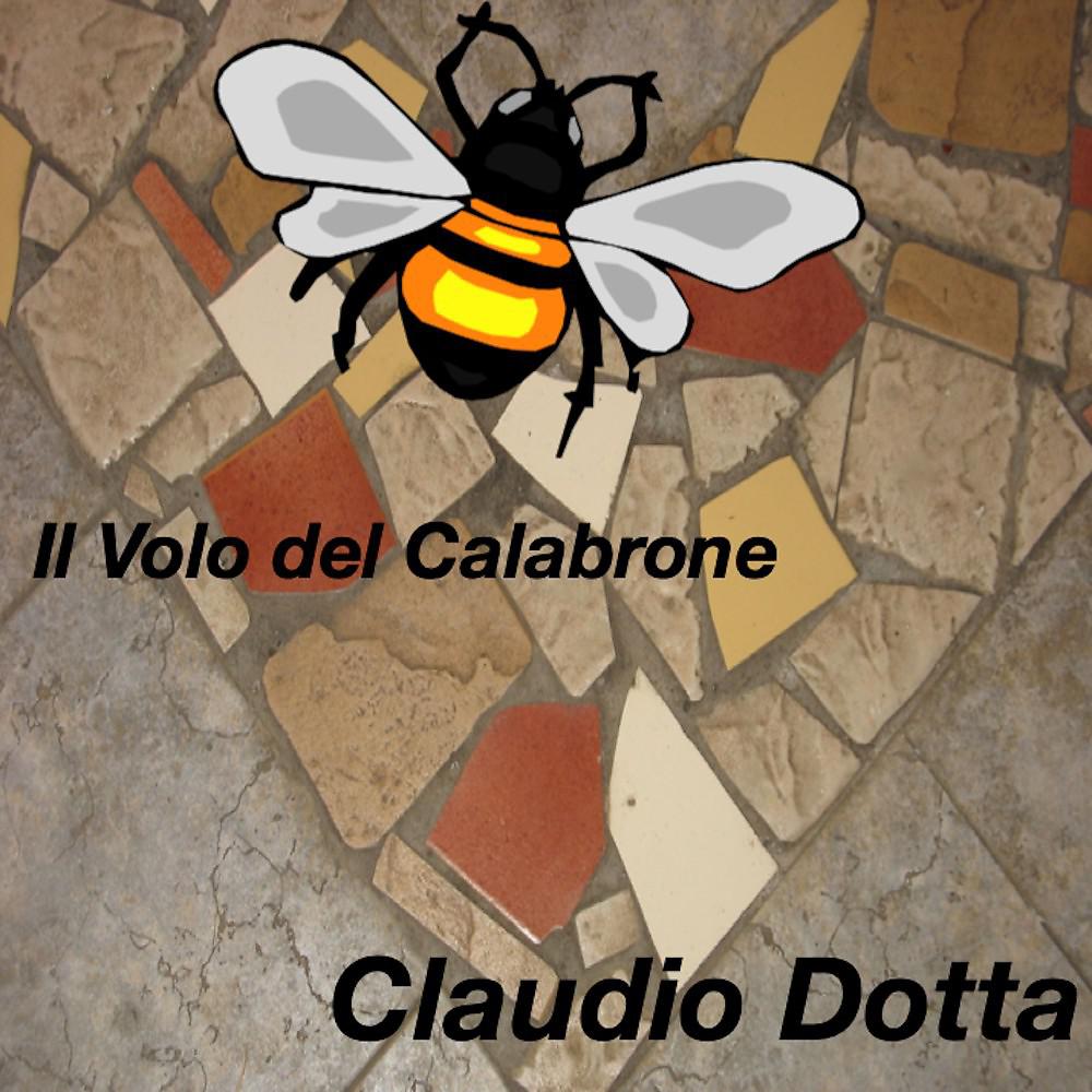 Постер альбома Il volo del calabrone