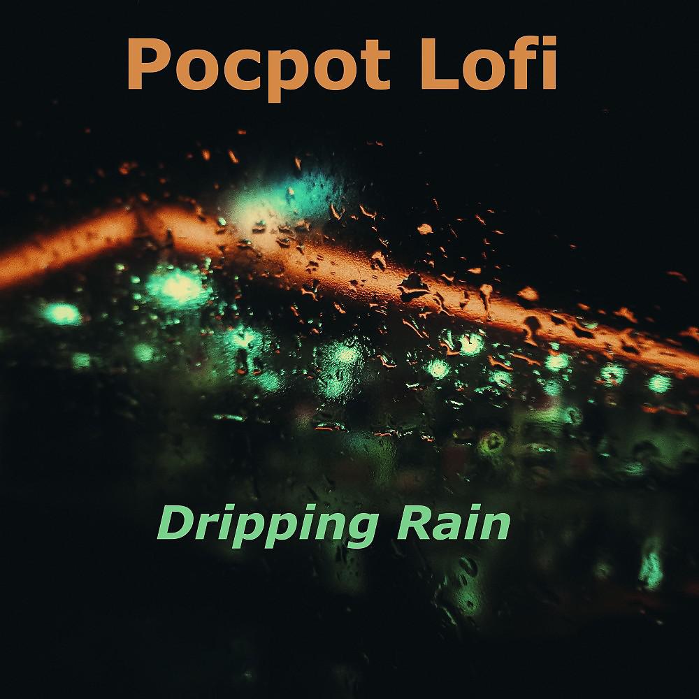 Постер альбома Dripping Rain