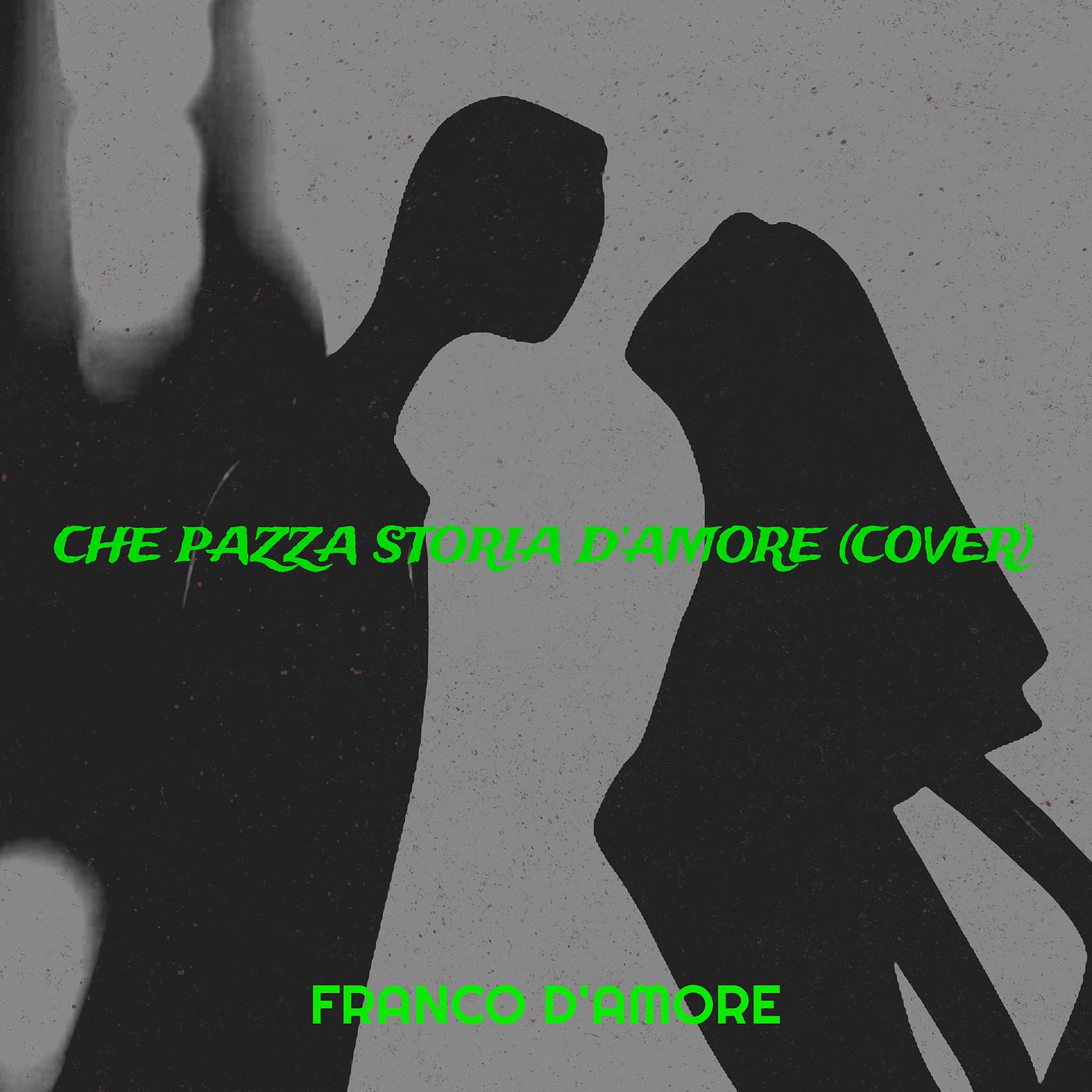Постер альбома Che Pazza Storia D’amore (Cover)