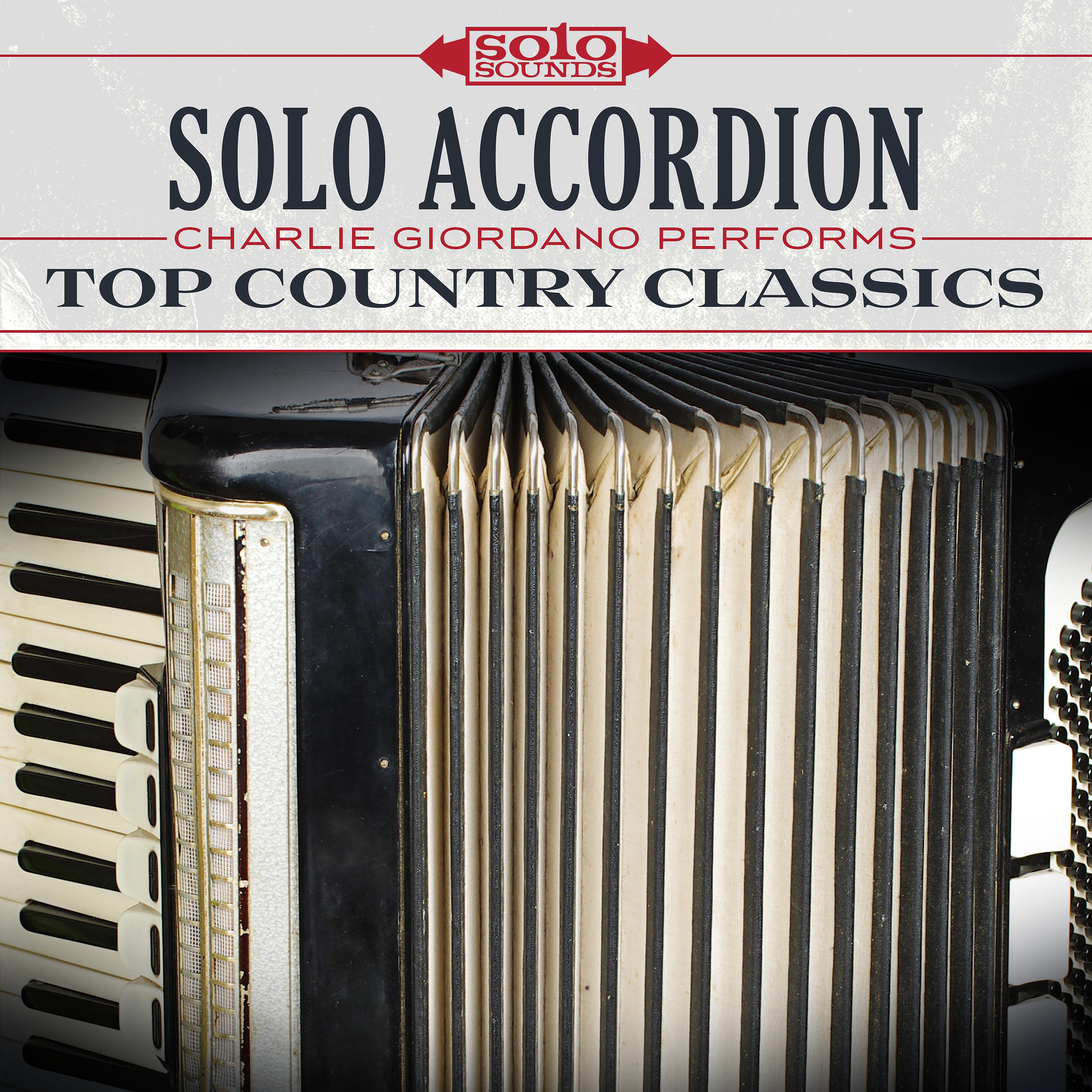 Постер альбома Top Country Classics: Solo Accordion