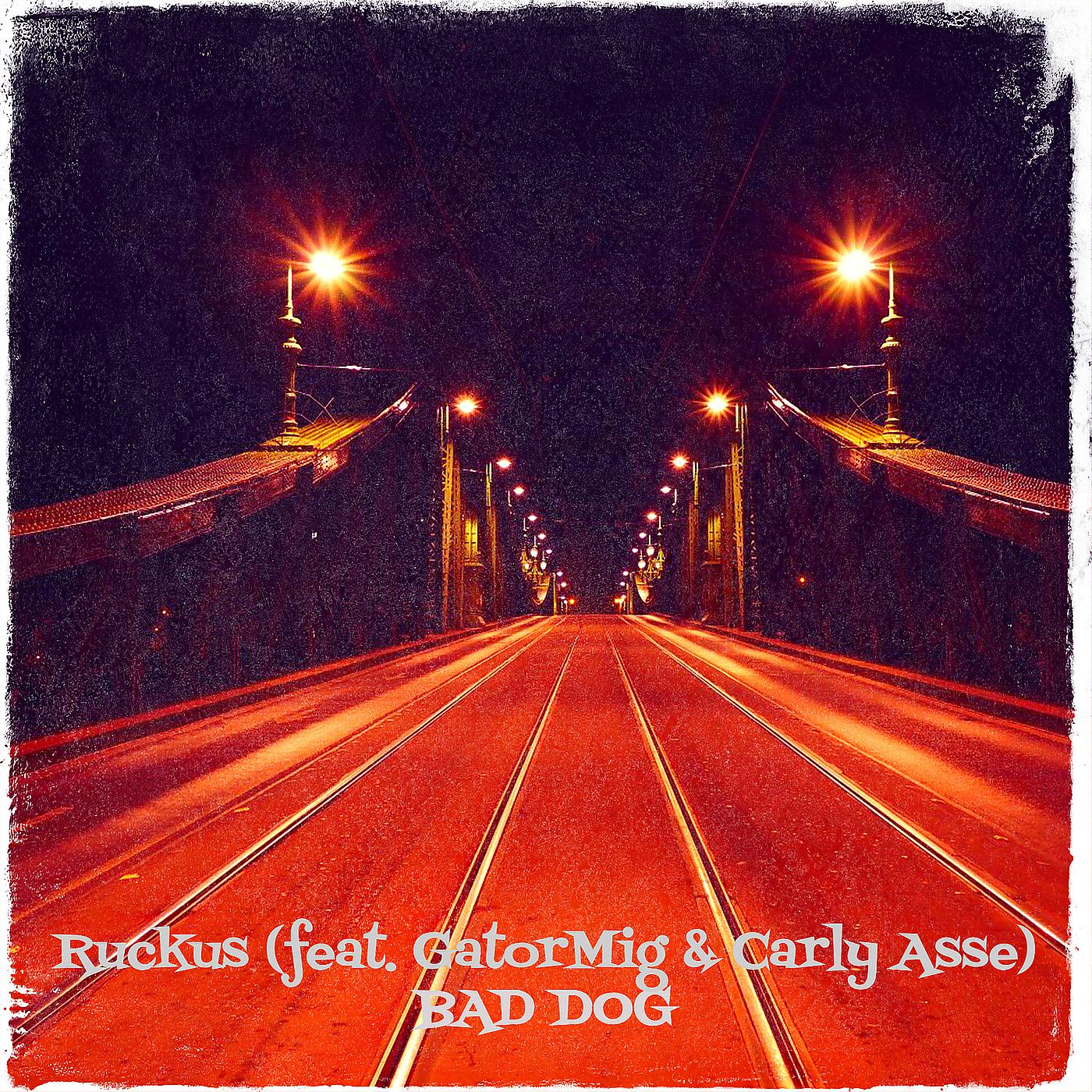 Постер альбома Ruckus