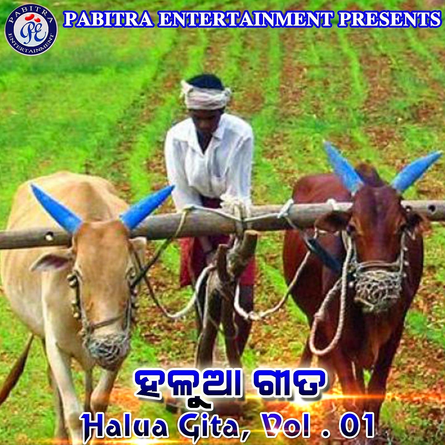Постер альбома Halua Gita, Vol. 1