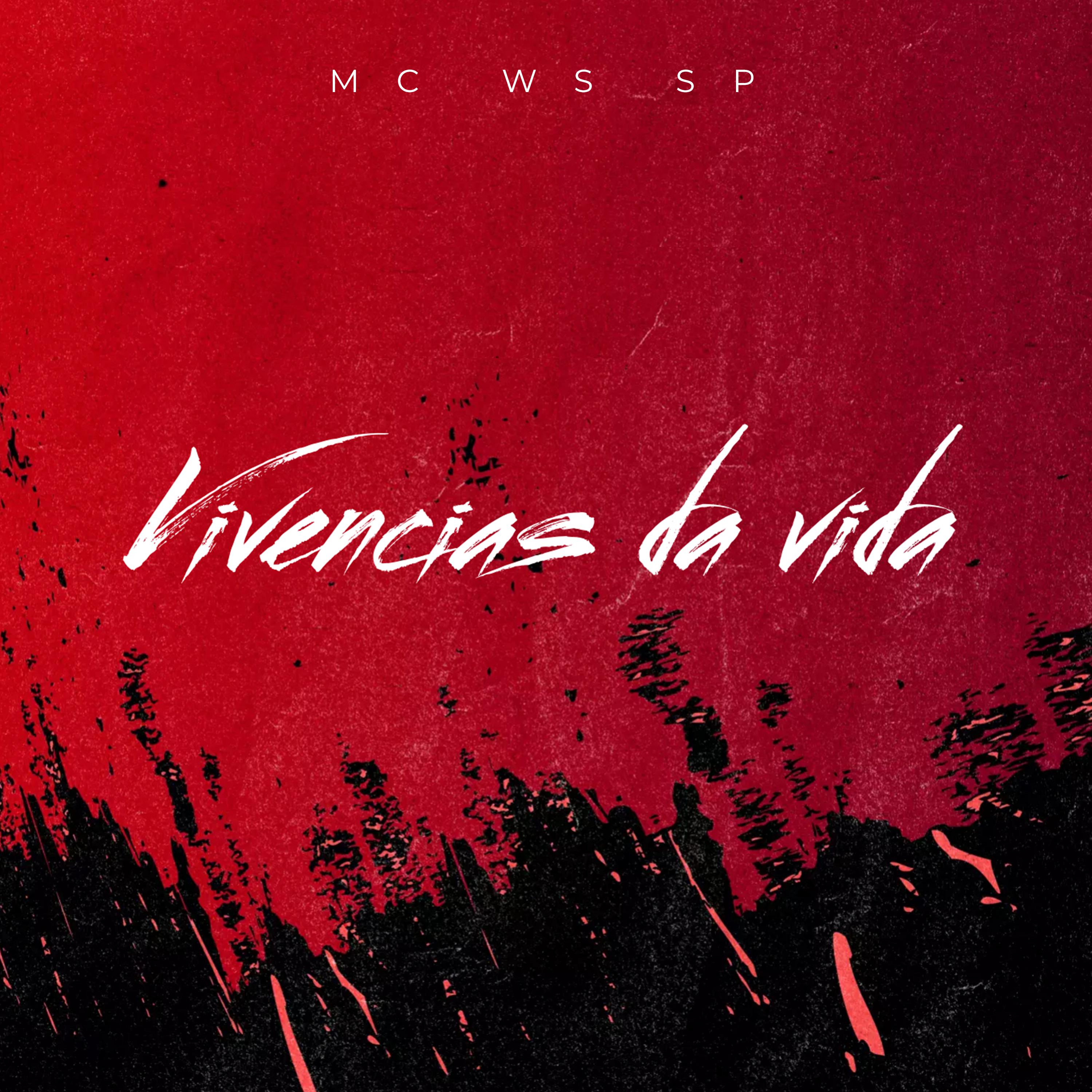 Постер альбома Vivencias da Vida