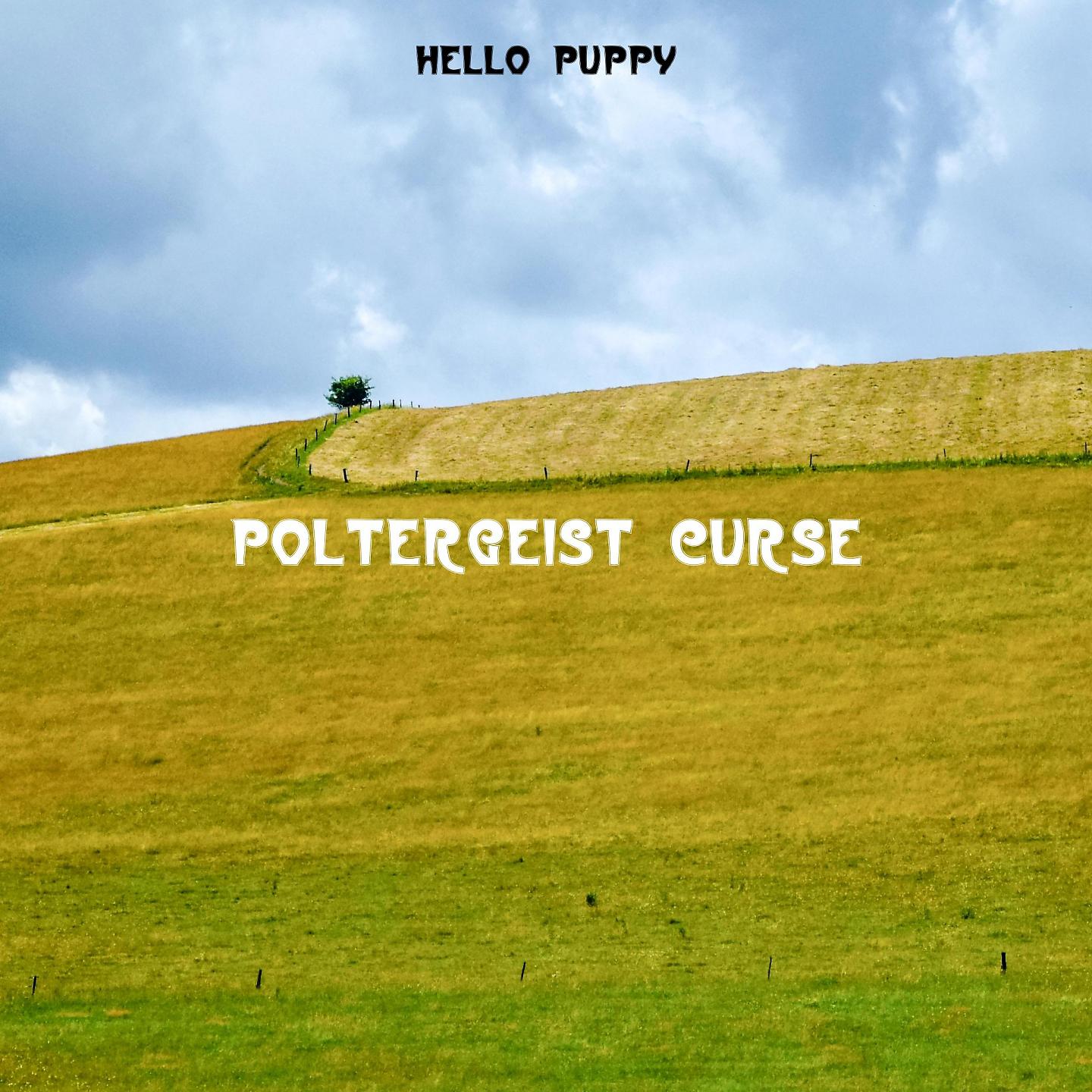 Постер альбома Poltergeist Curse