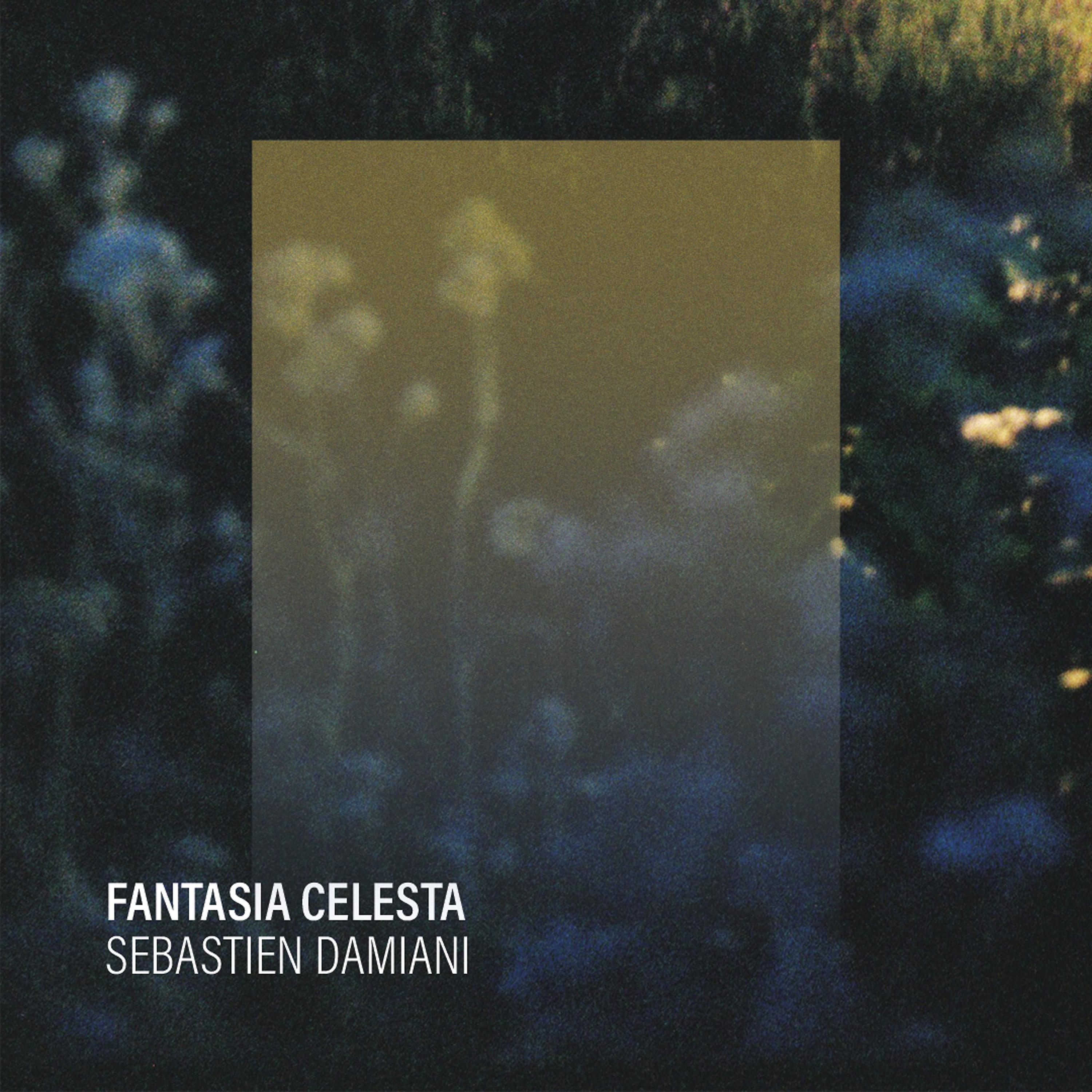 Постер альбома Fantasia Celesta