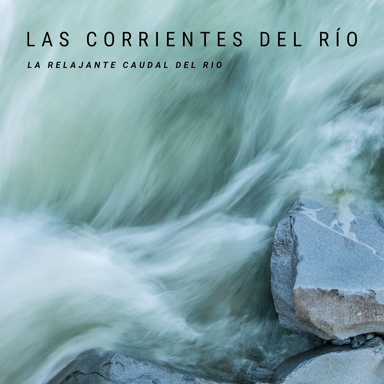 Постер альбома Las Corrientes Del Rio: La Relajante Caudal Del Rio