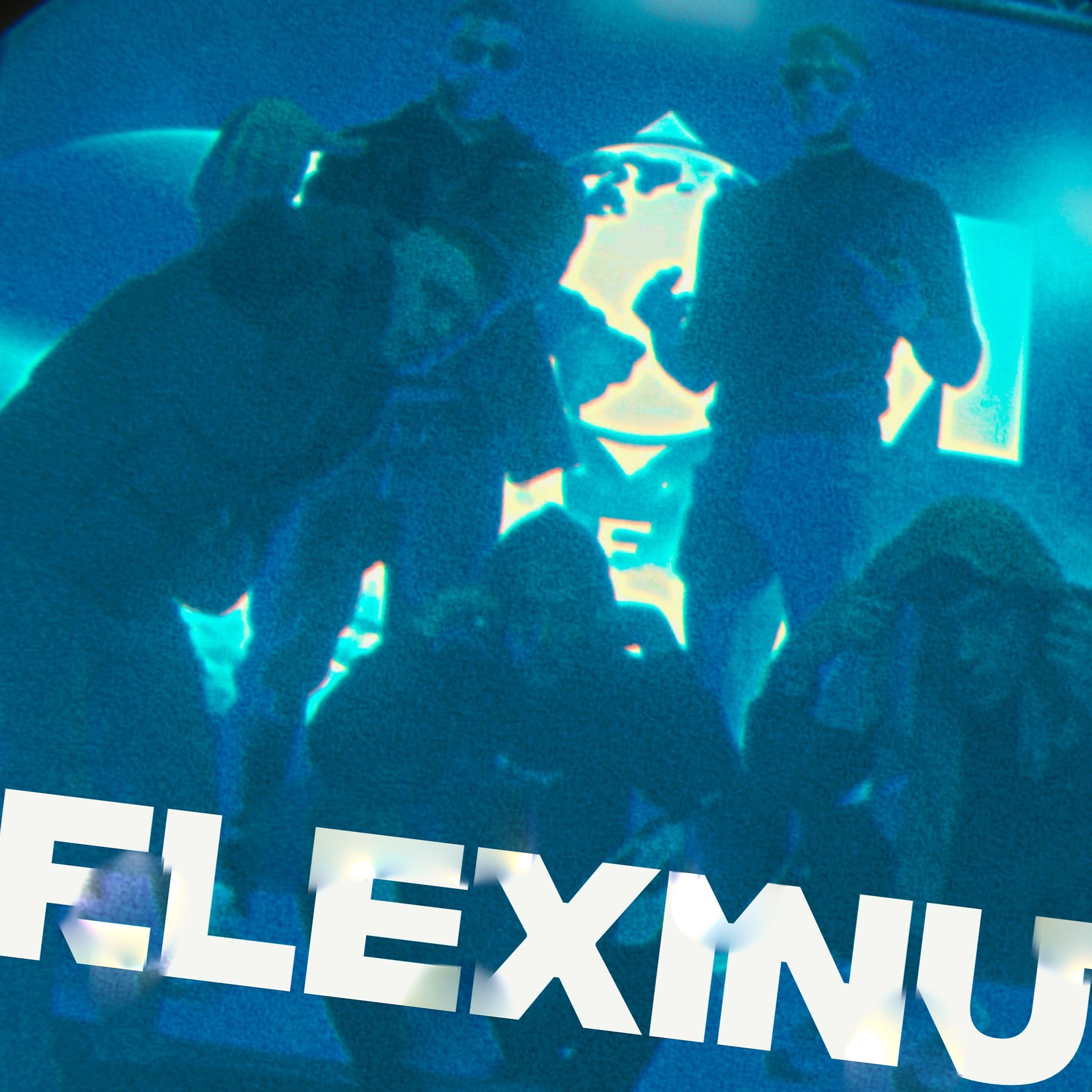 Постер альбома Flexinu
