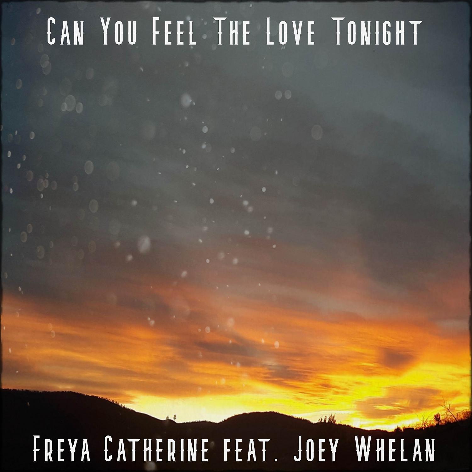 Постер альбома Can You Feel The Love Tonight (feat. Joey Whelan)